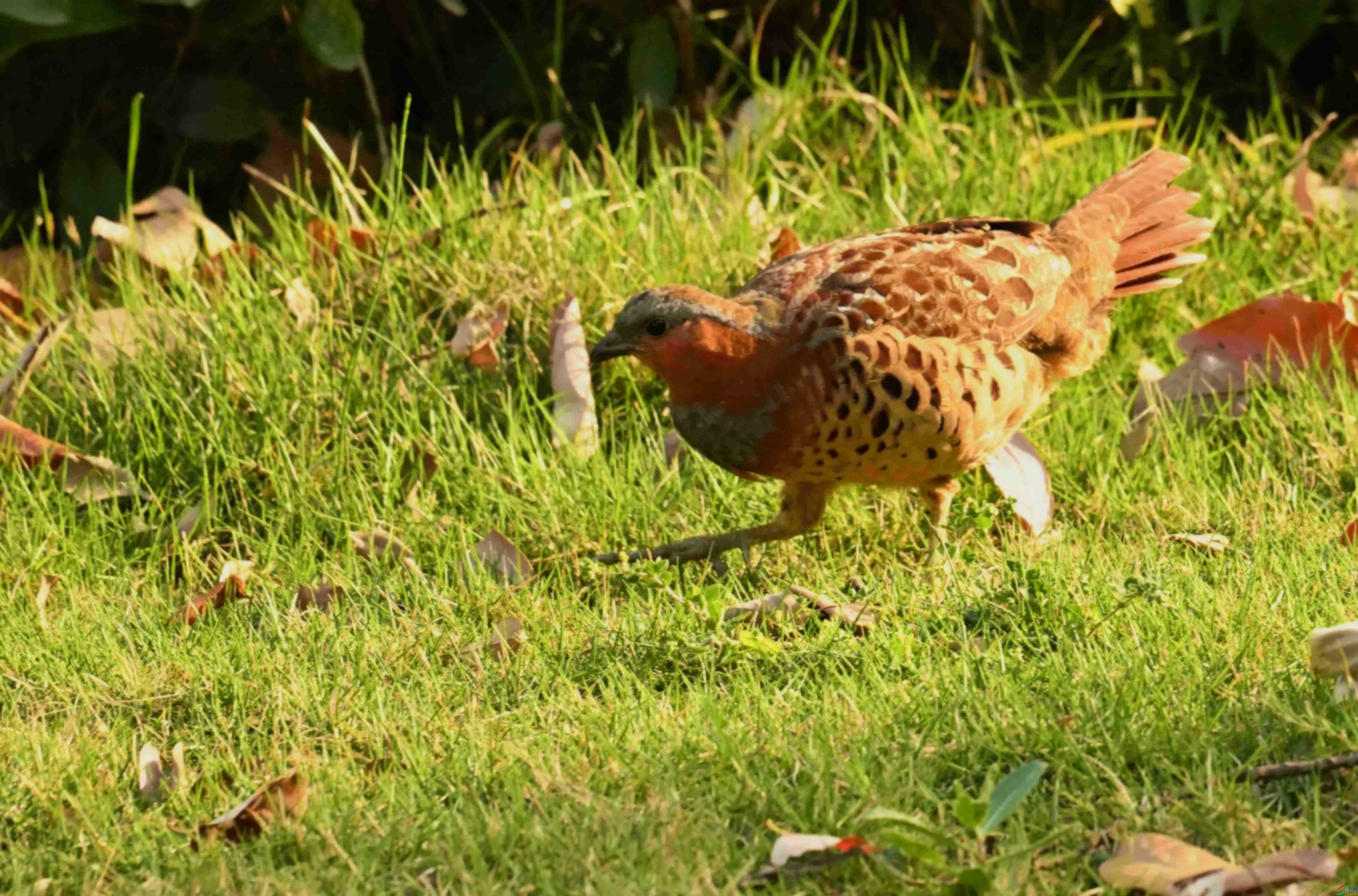 DSC_1714.JPG
