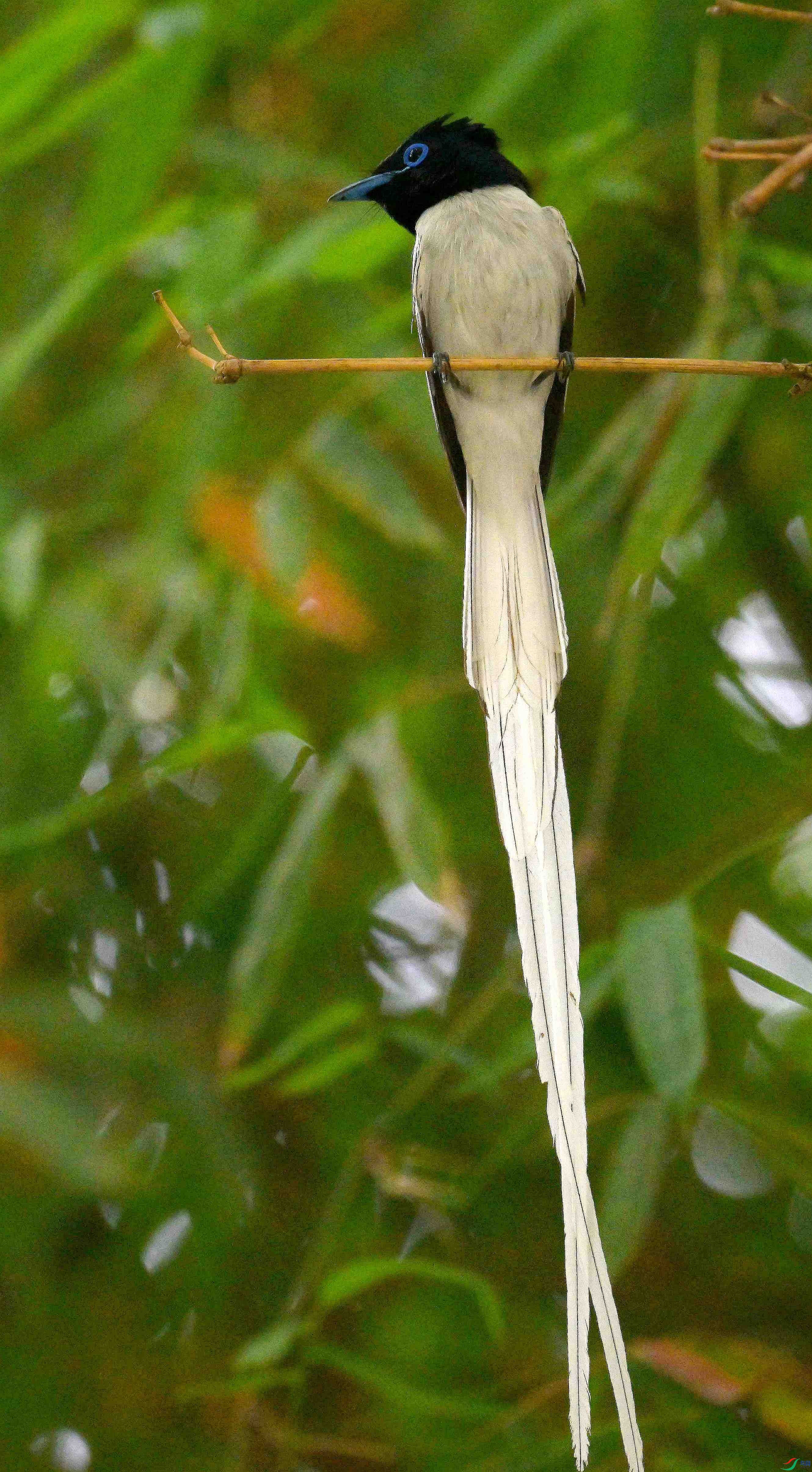 DSC_4040.jpg