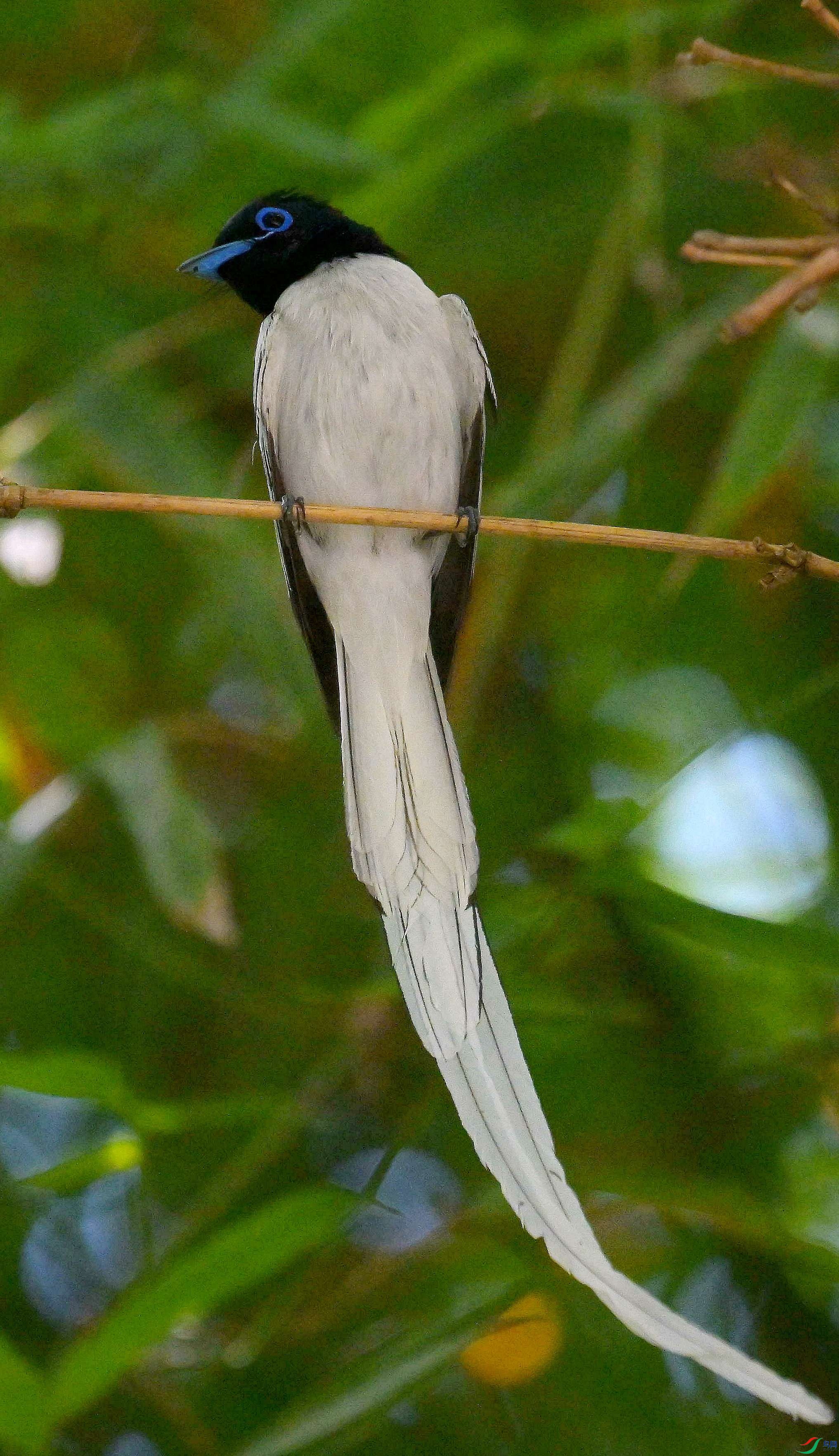 DSC_4938.jpg