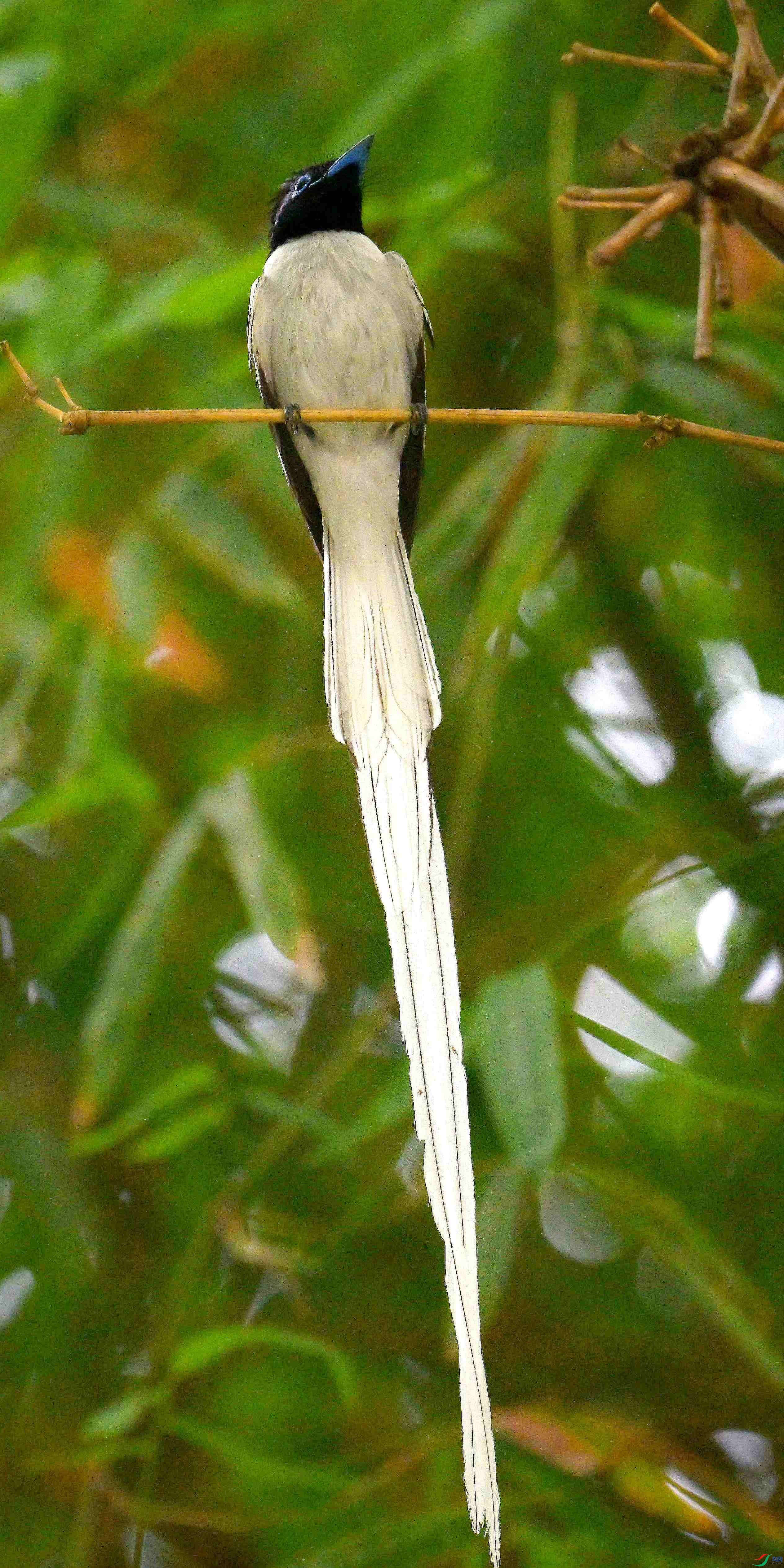 DSC_4046.jpg