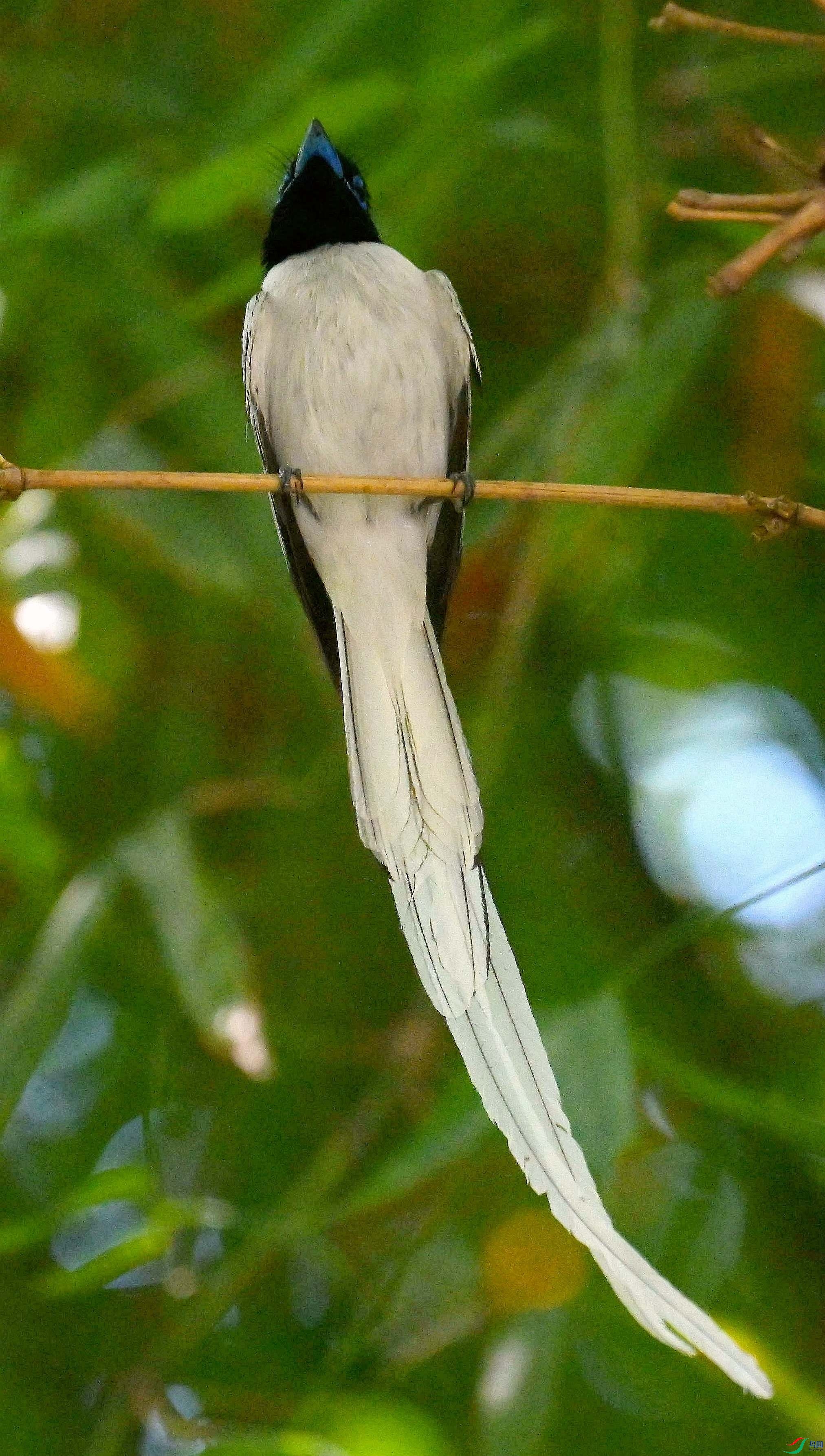 DSC_4968.jpg