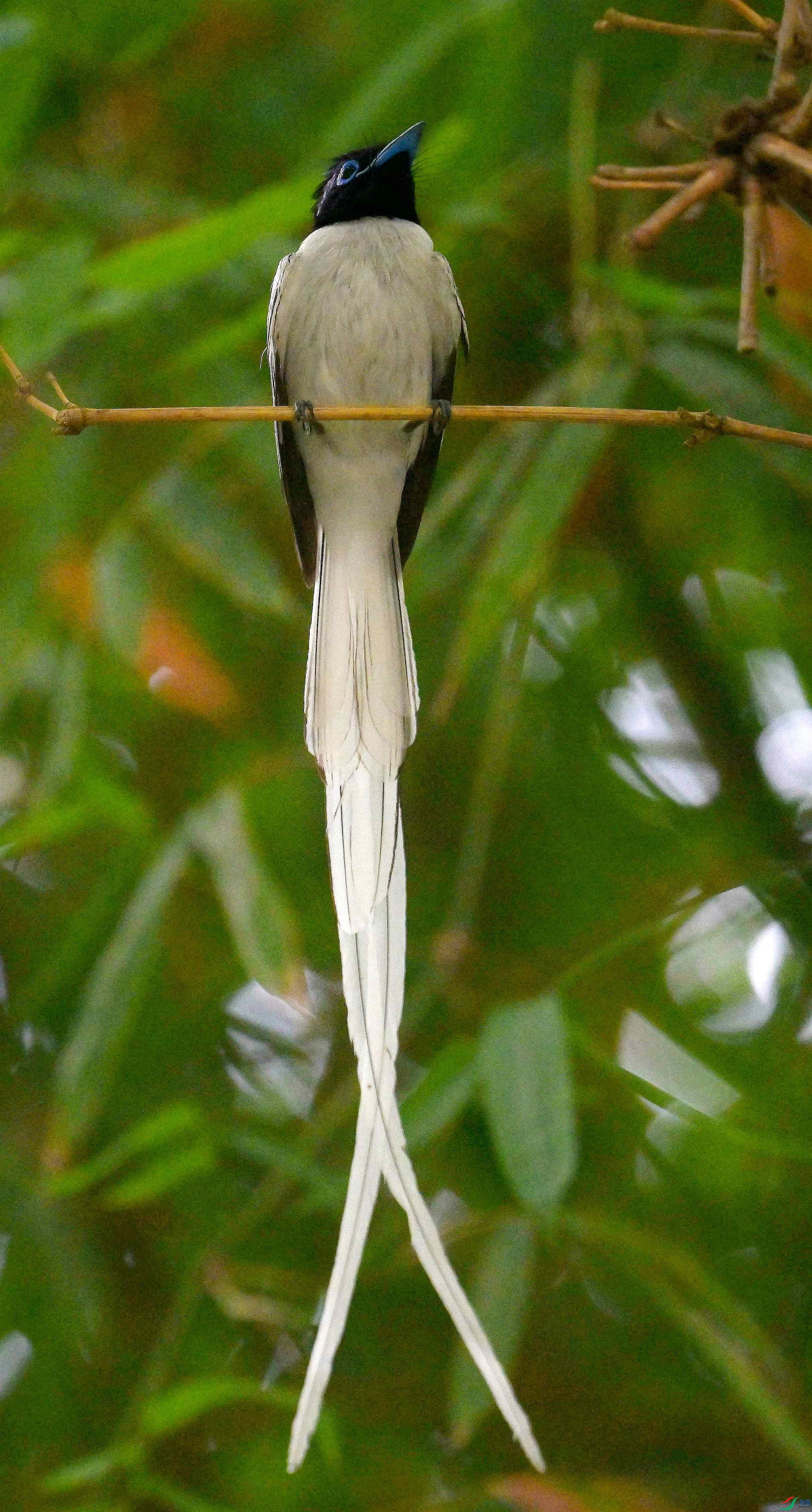 DSC_4053.jpg