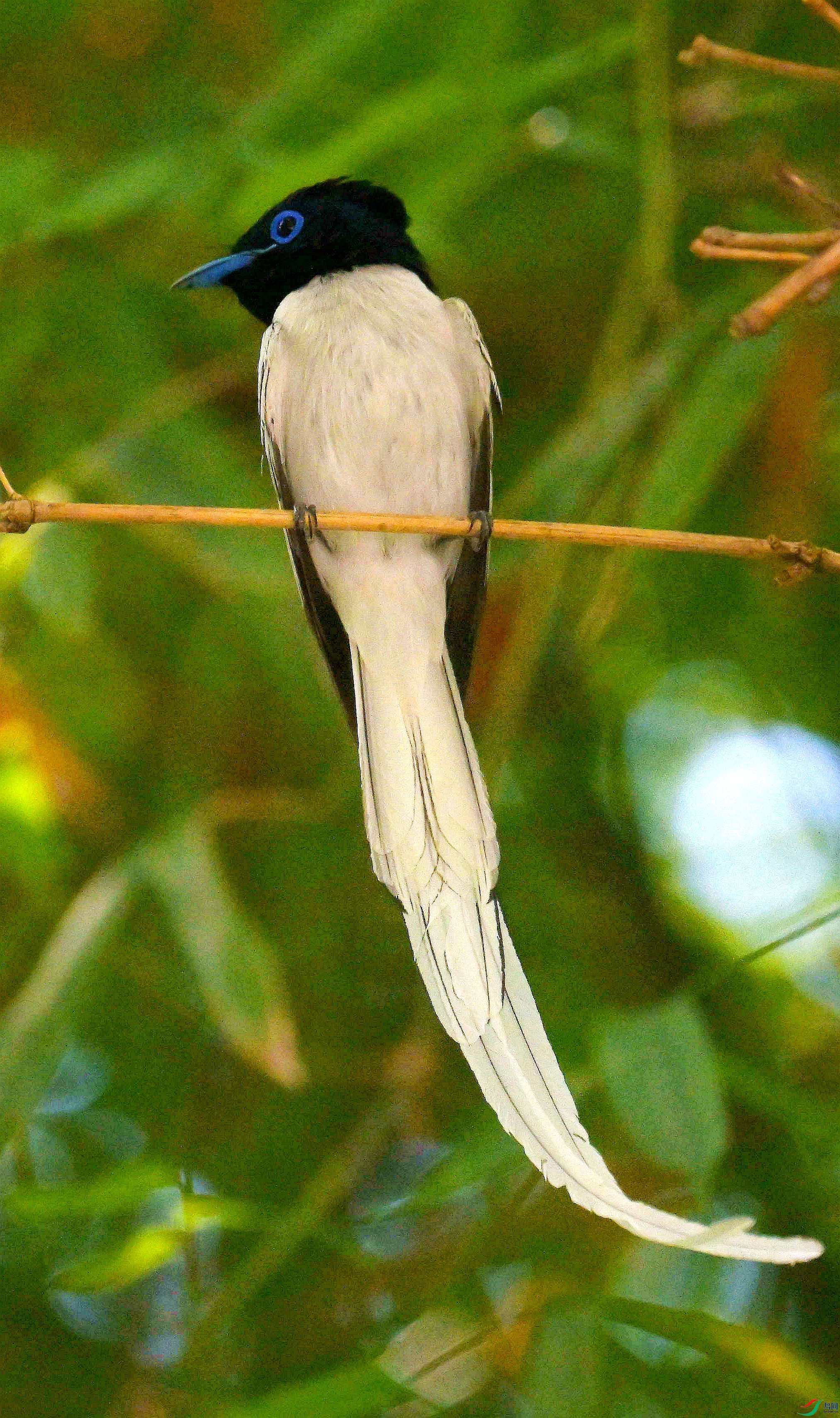 DSC_4961.jpg