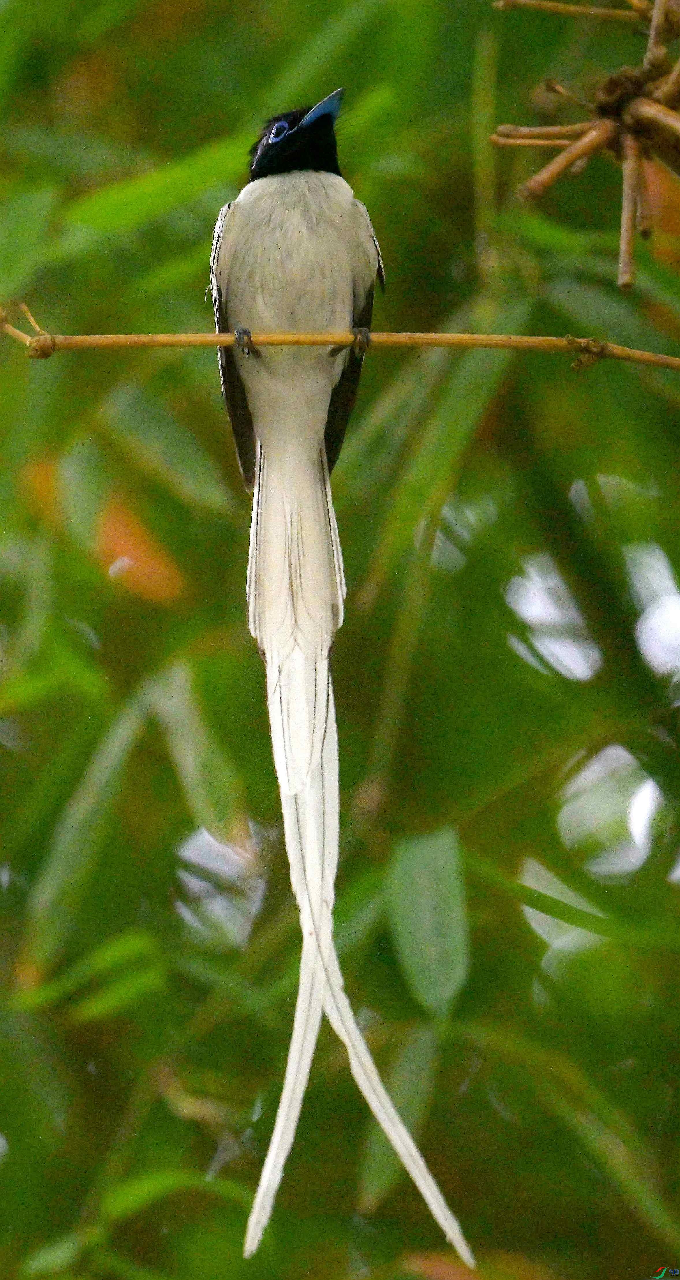 DSC_4059.jpg