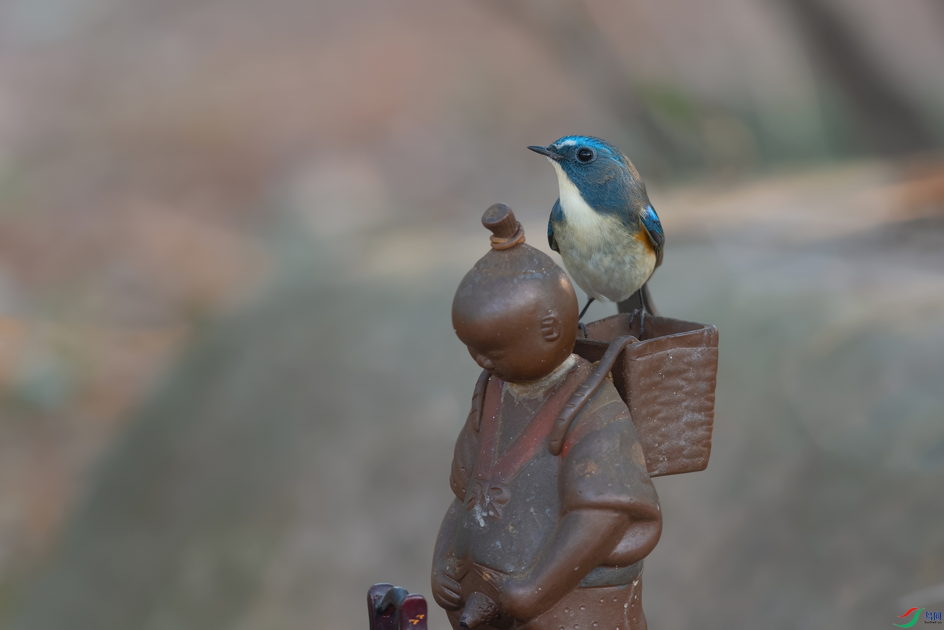 4DSC_1707_DxOa.jpg