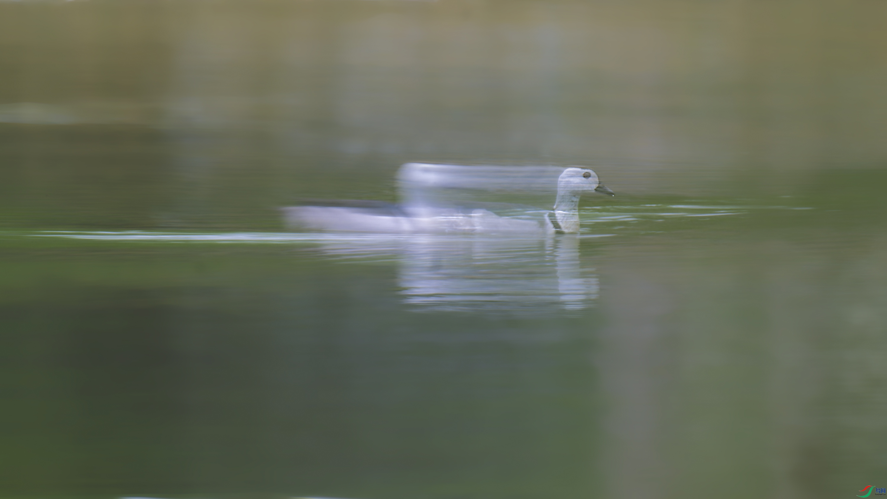 DSC_3819_DxO.jpg