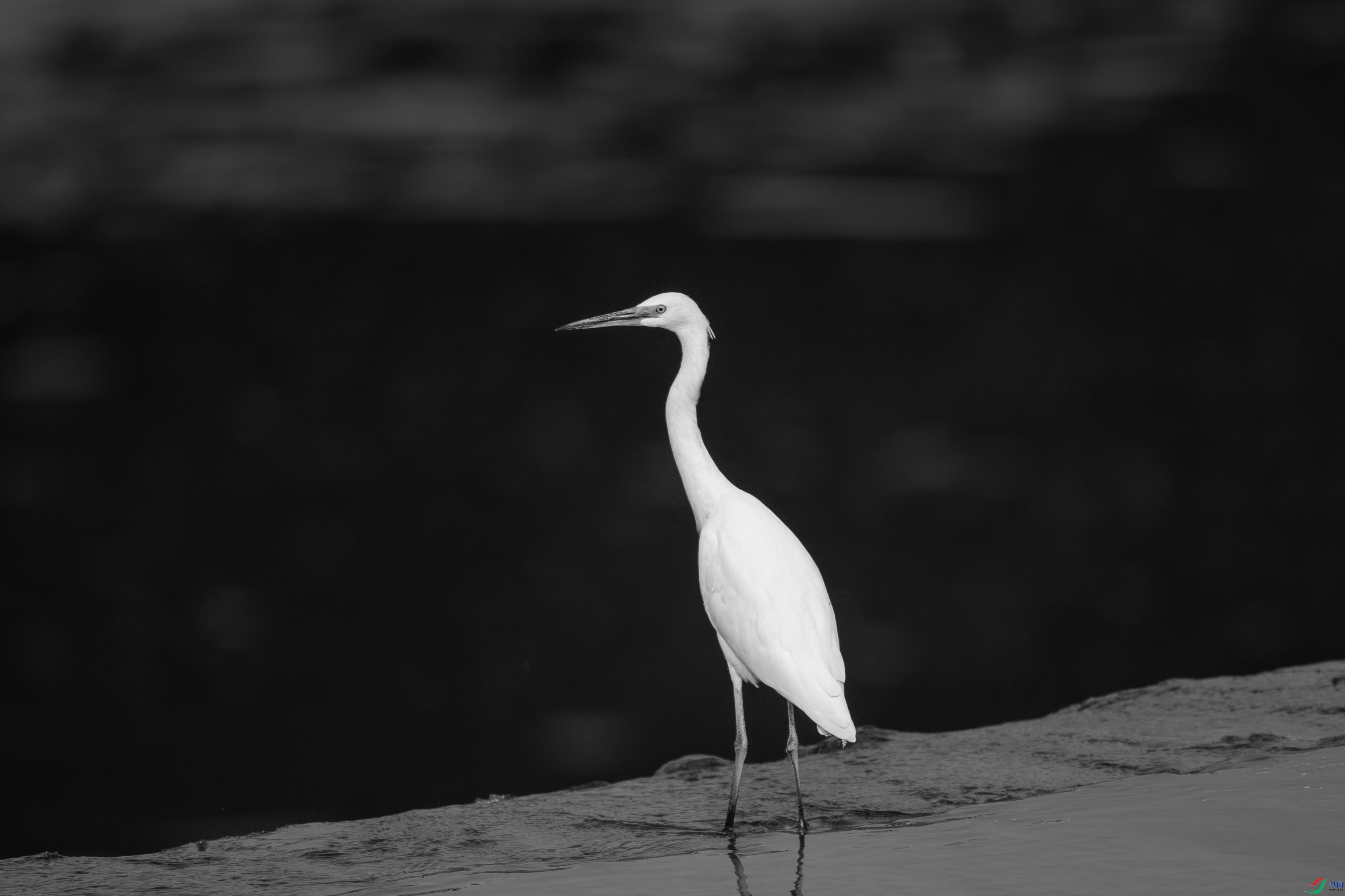 DSC_2269-����.jpg