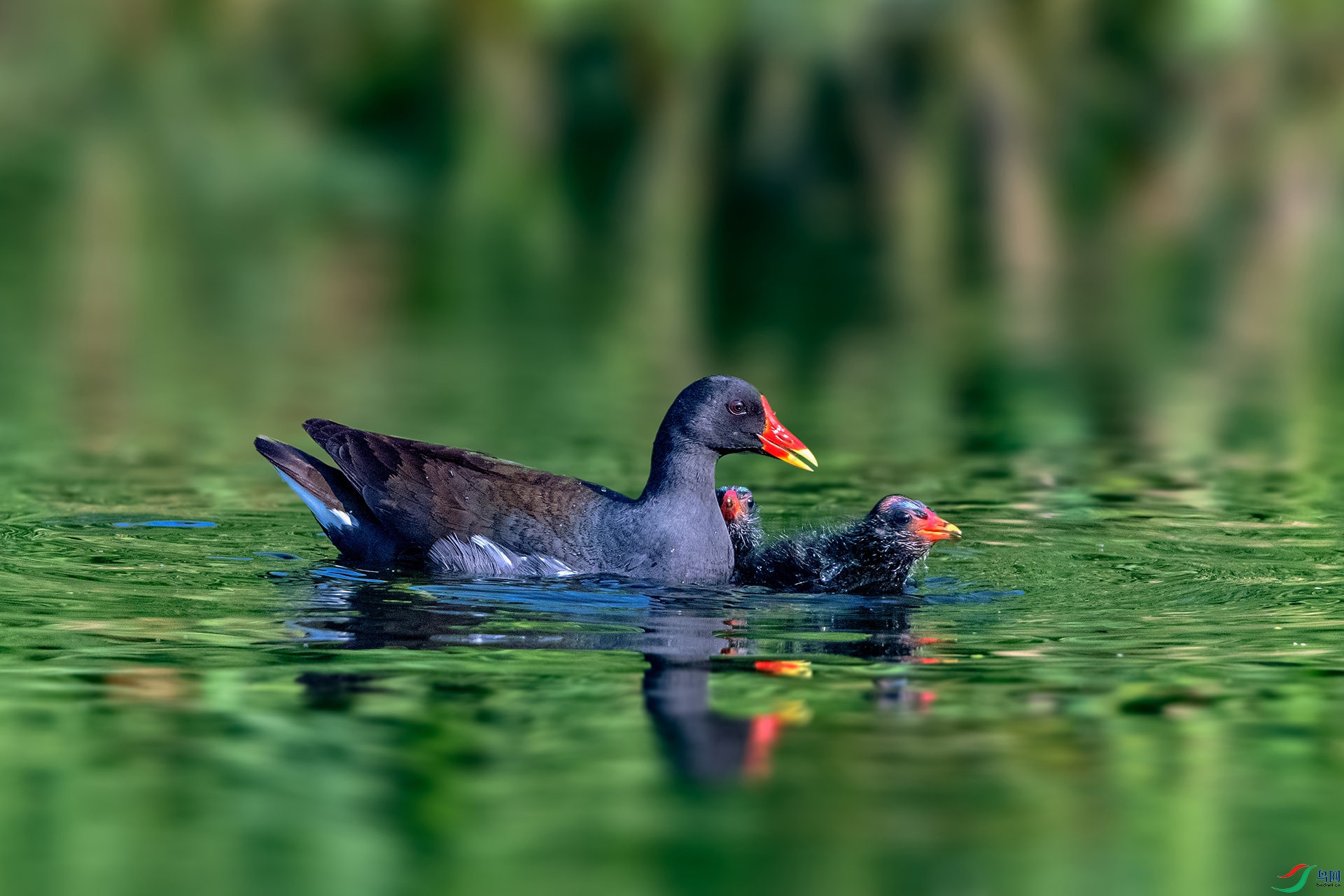 _AUU0242 ȫ�ҳ���(26.3.31).jpg