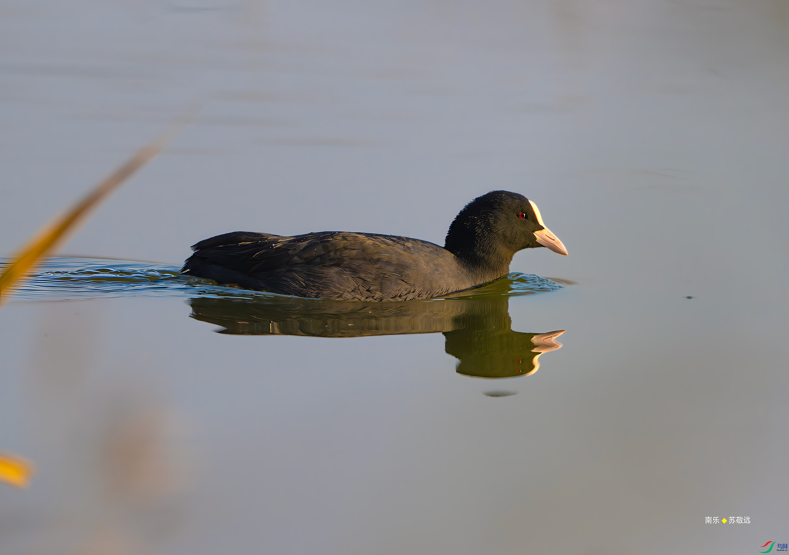 _DSC7084-DxO_С.jpg