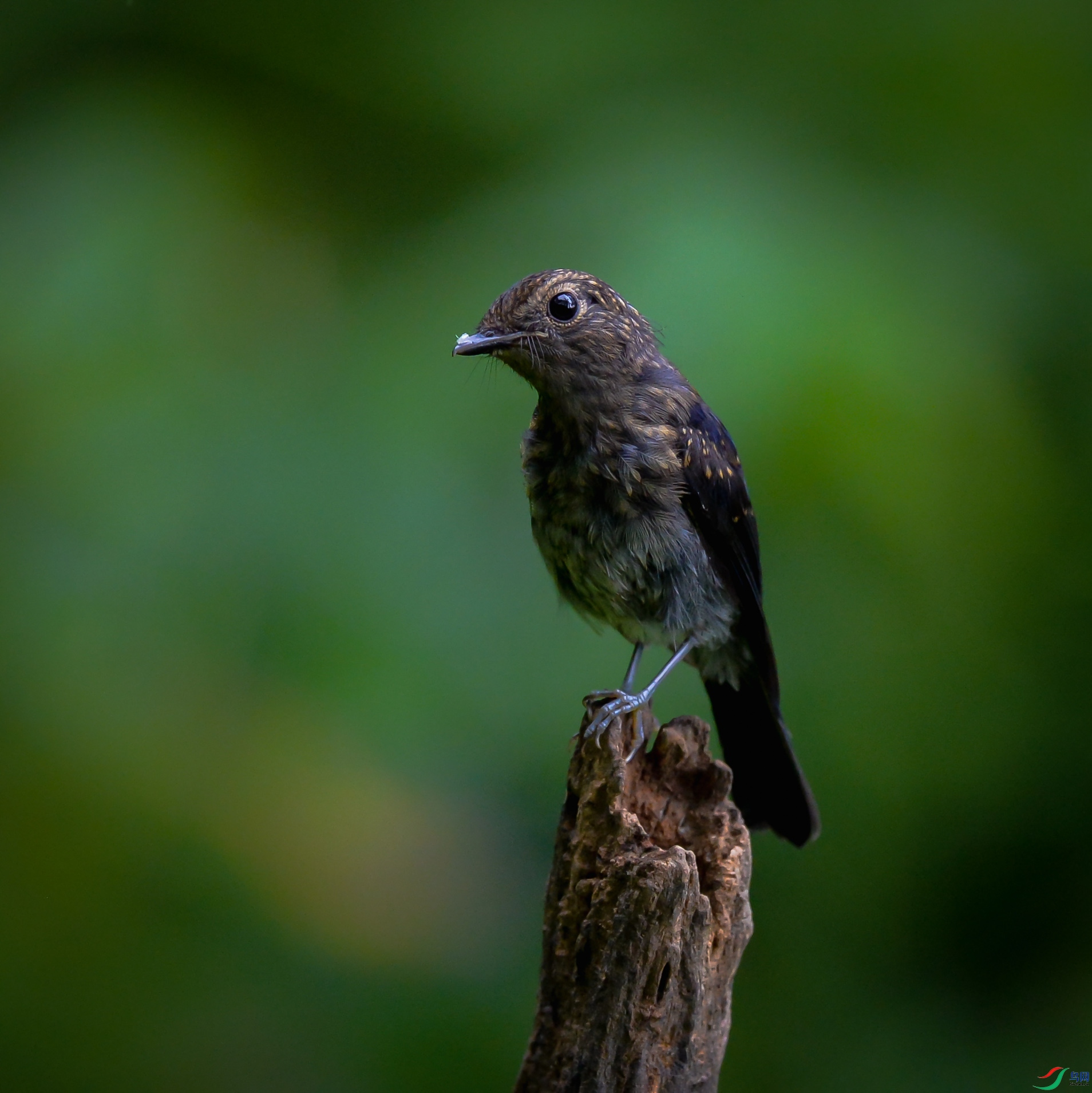 DSC_3086.jpg
