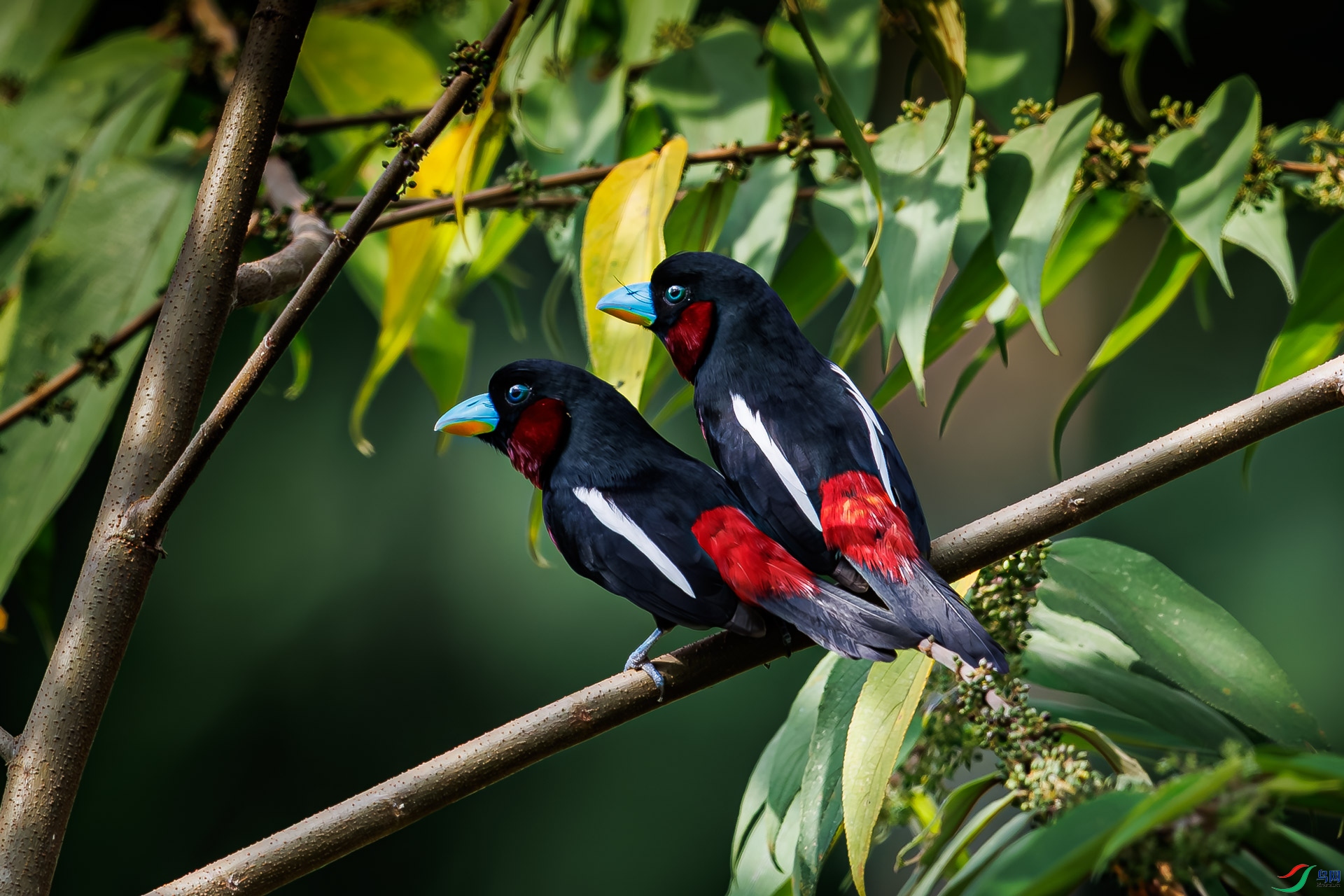 _V9A9820.jpg