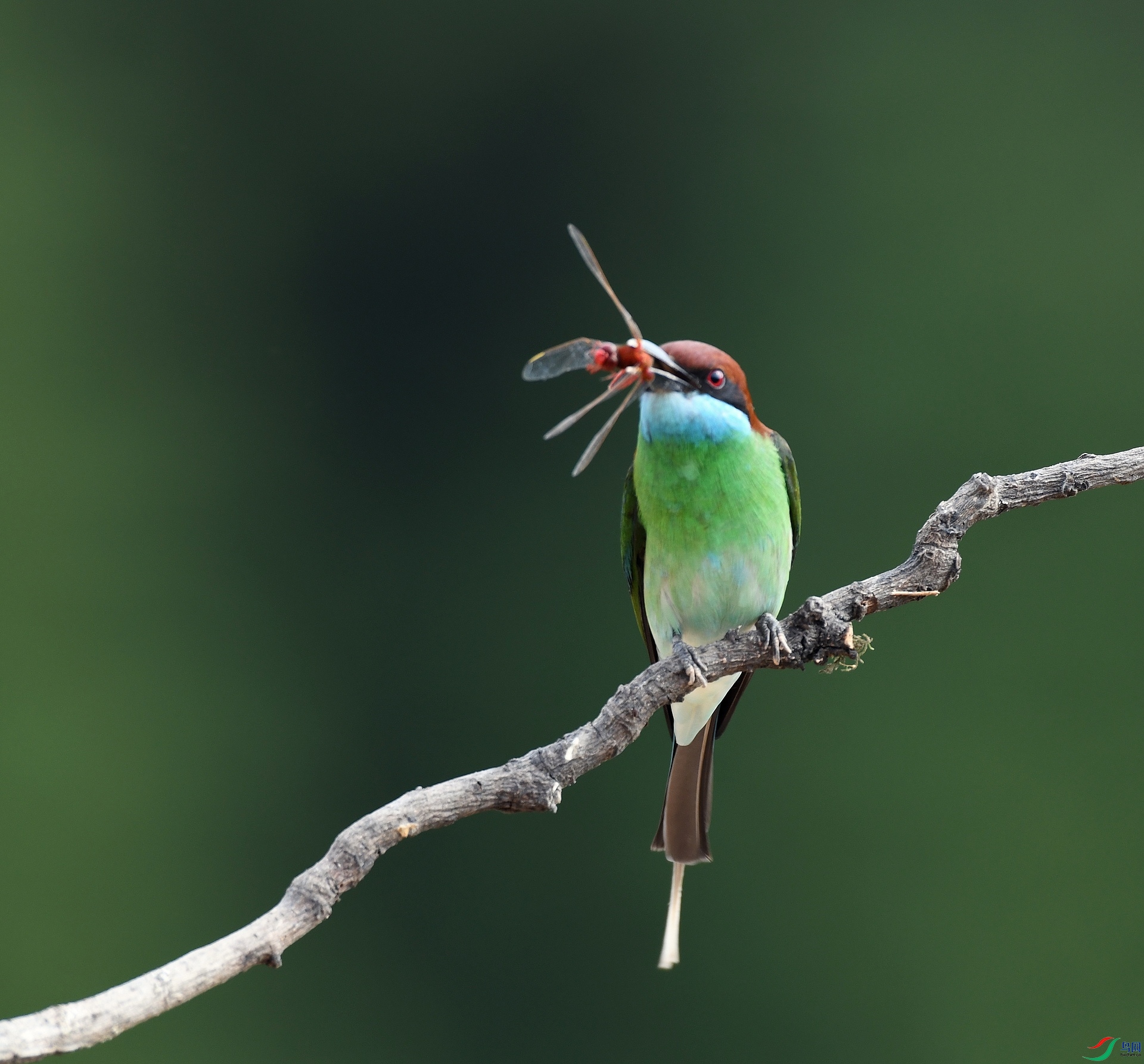 DSC_5016.jpg