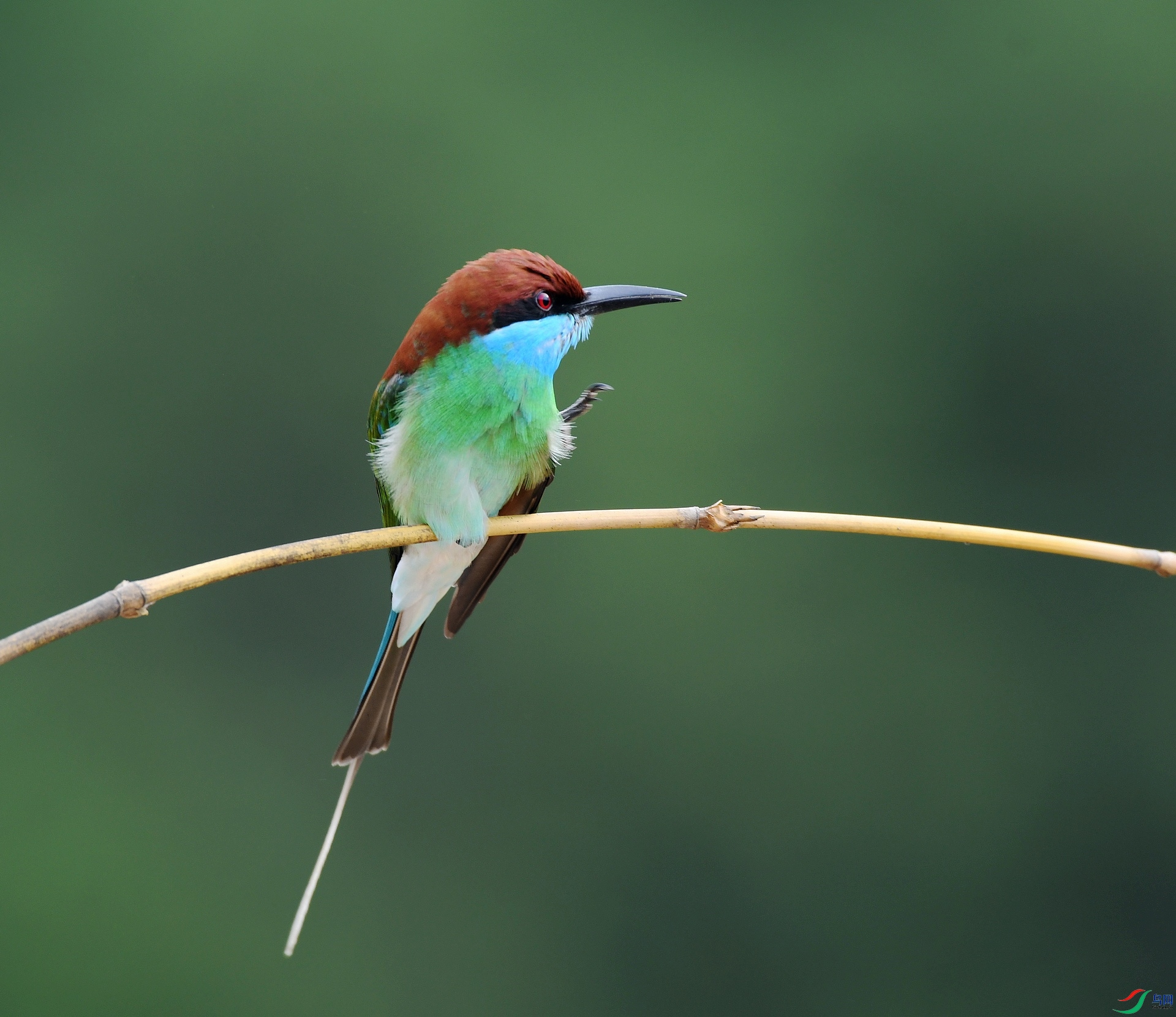 DSC_4711.jpg