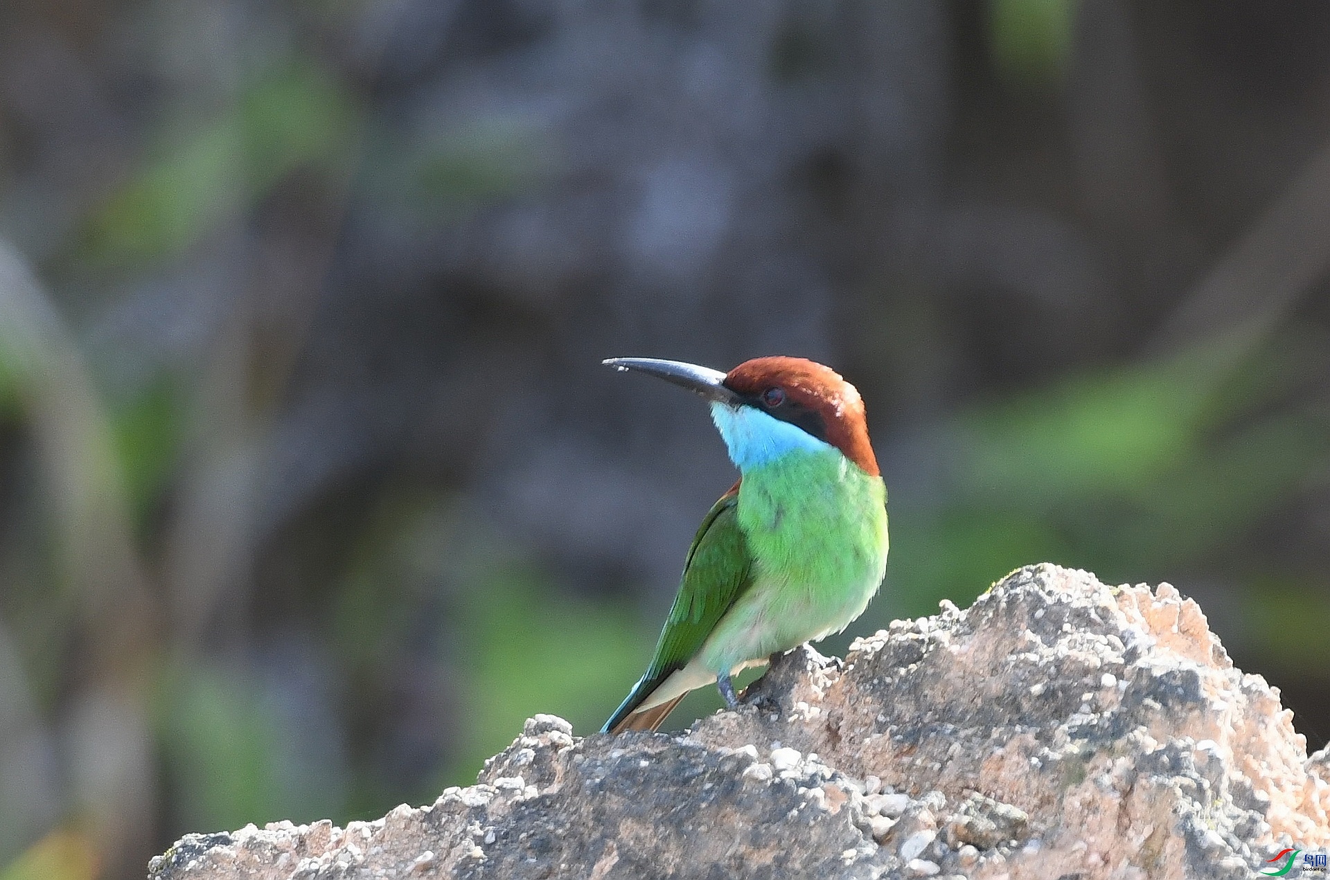 DSC_3431.jpg