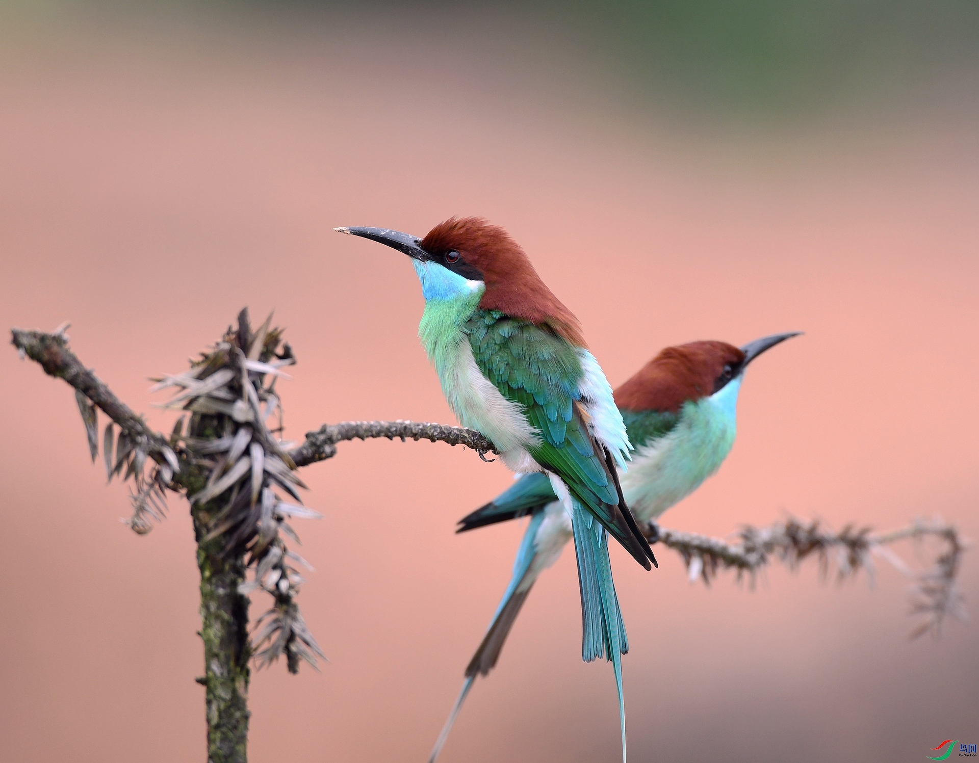 DSC_5351.jpg