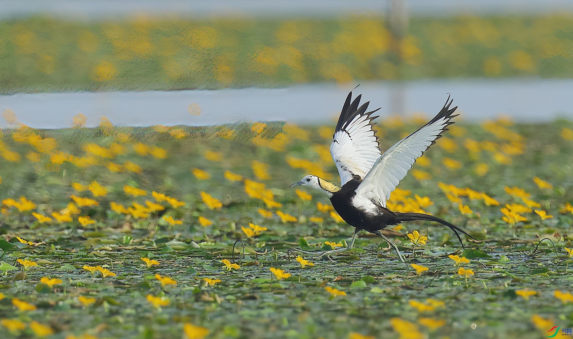 4R6A7499-SharpenAI-Motion.jpg