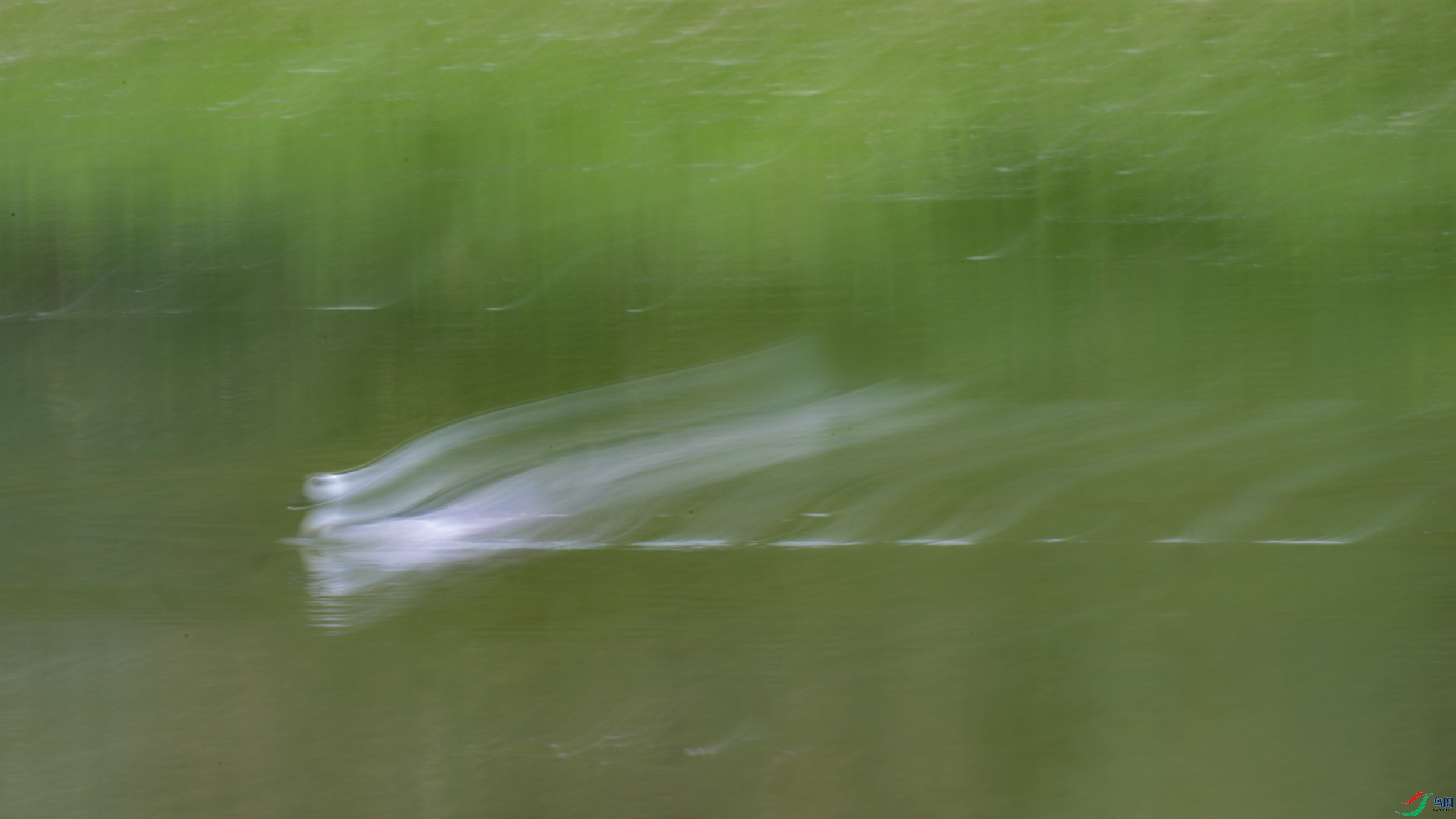 DSC_3791_DxO.jpg