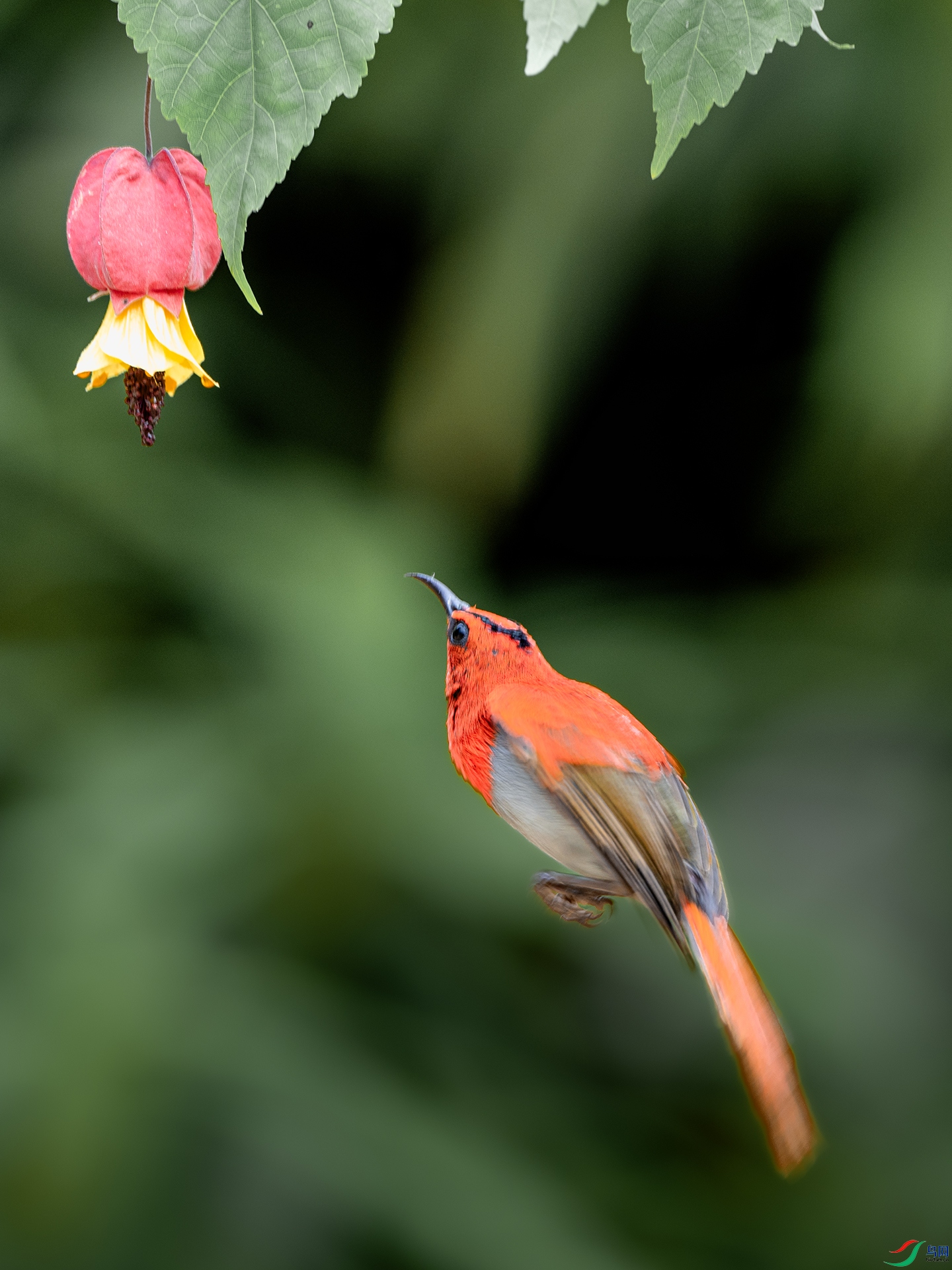 DSC_3890 ����.jpg