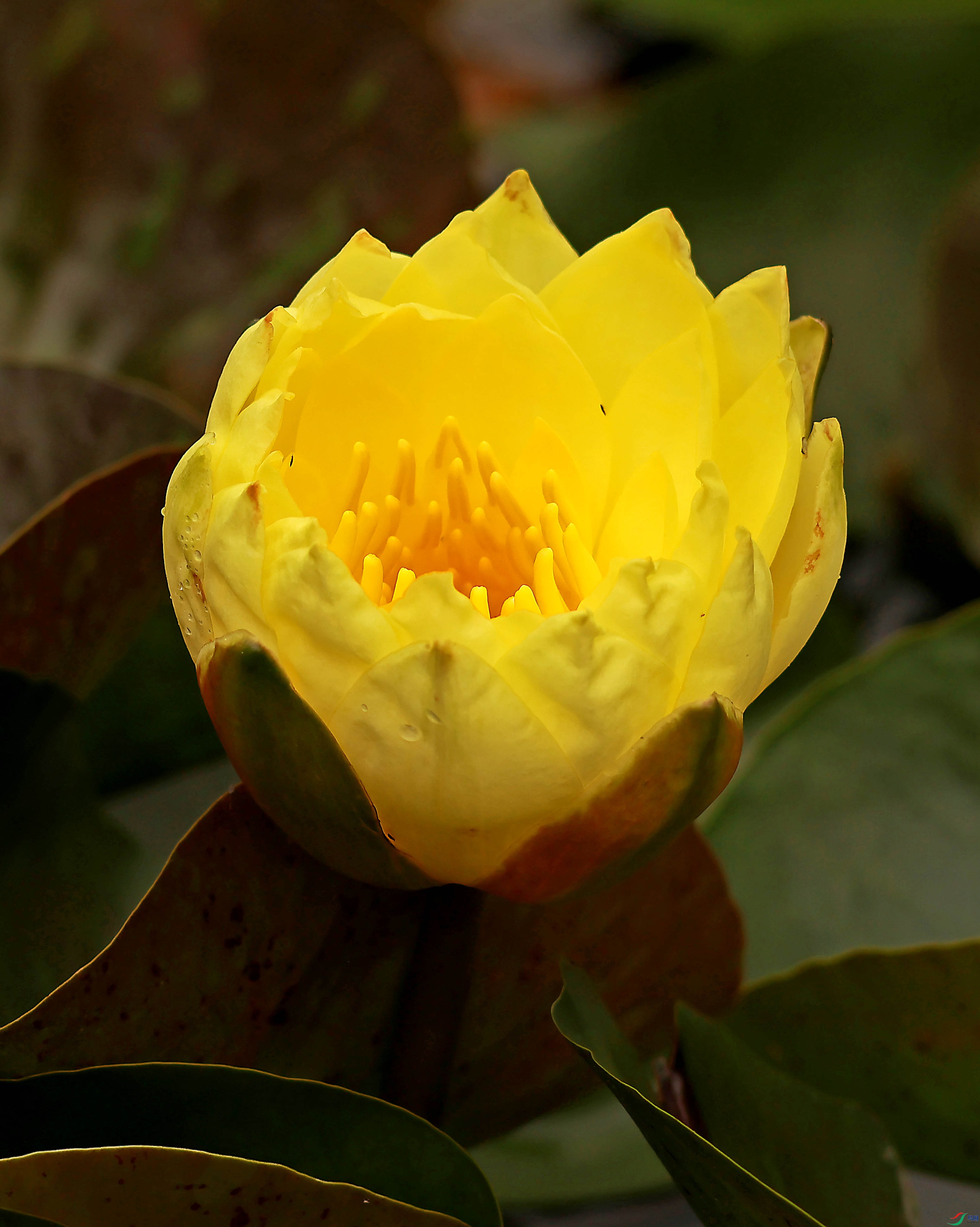 2G9A9293.JPG