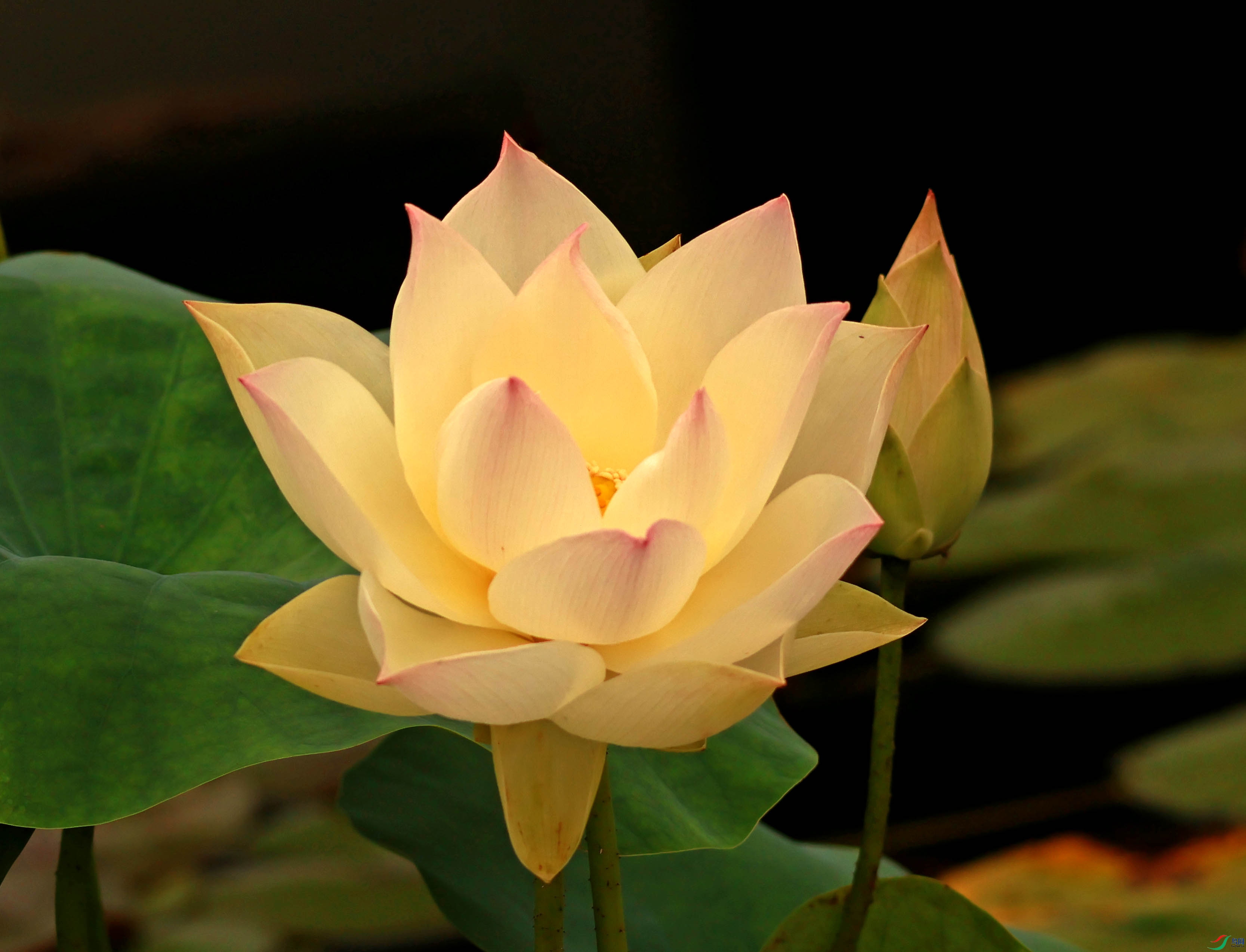 2G9A9298.JPG