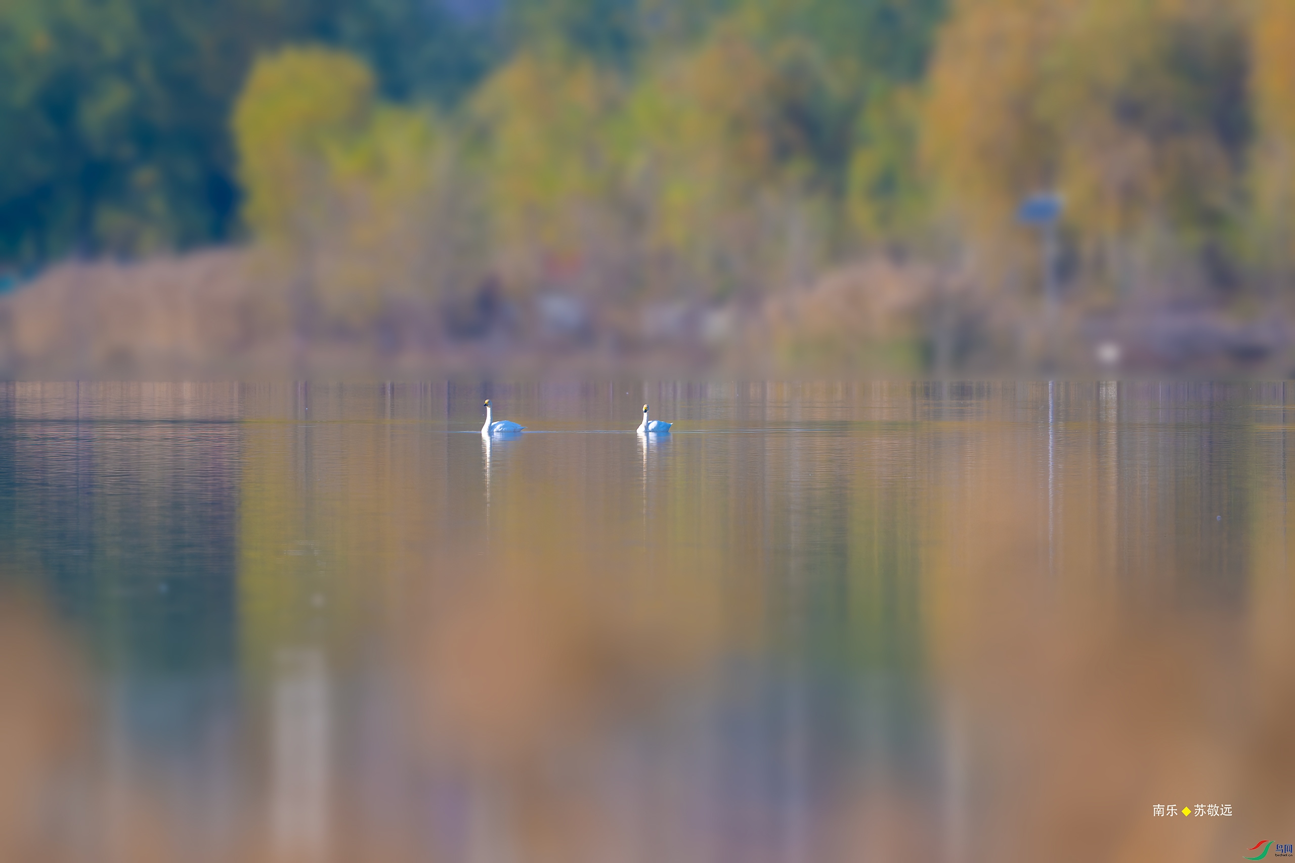 _DSC6751-DxO_С.jpg