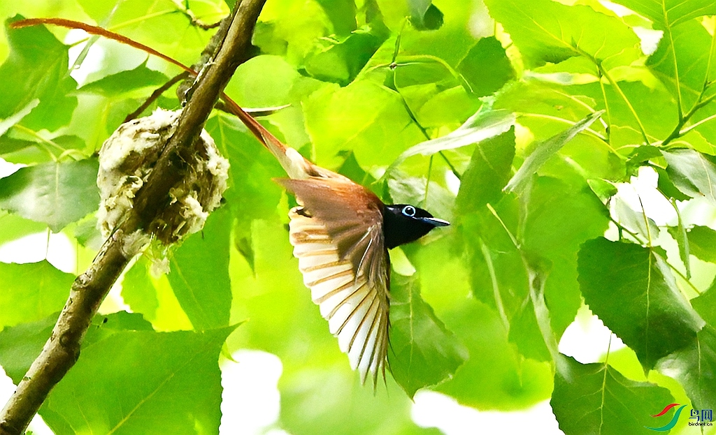 DSC_2940.JPG