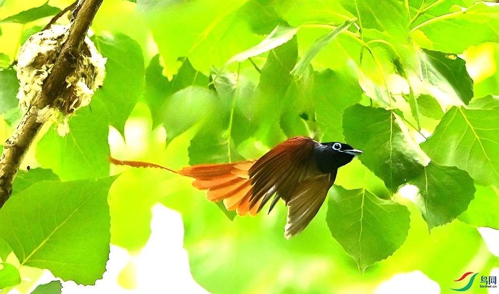 DSC_3104.JPG