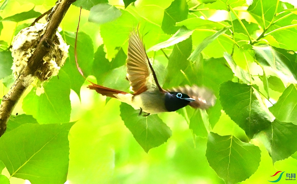 DSC_3103.JPG