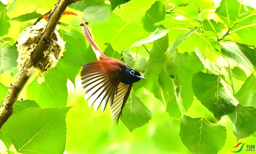DSC_3102.JPG