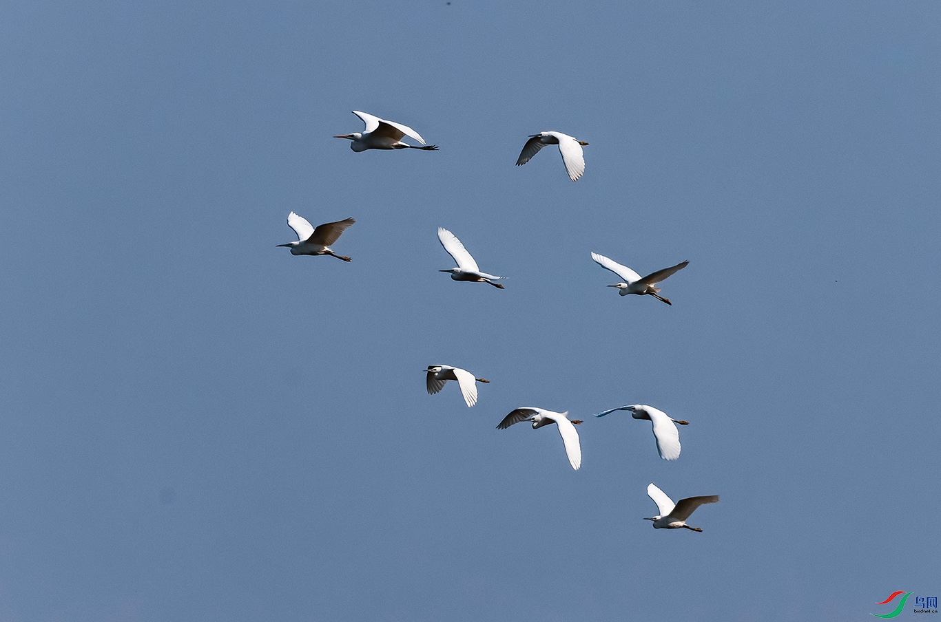 0J2A9956-0.jpg