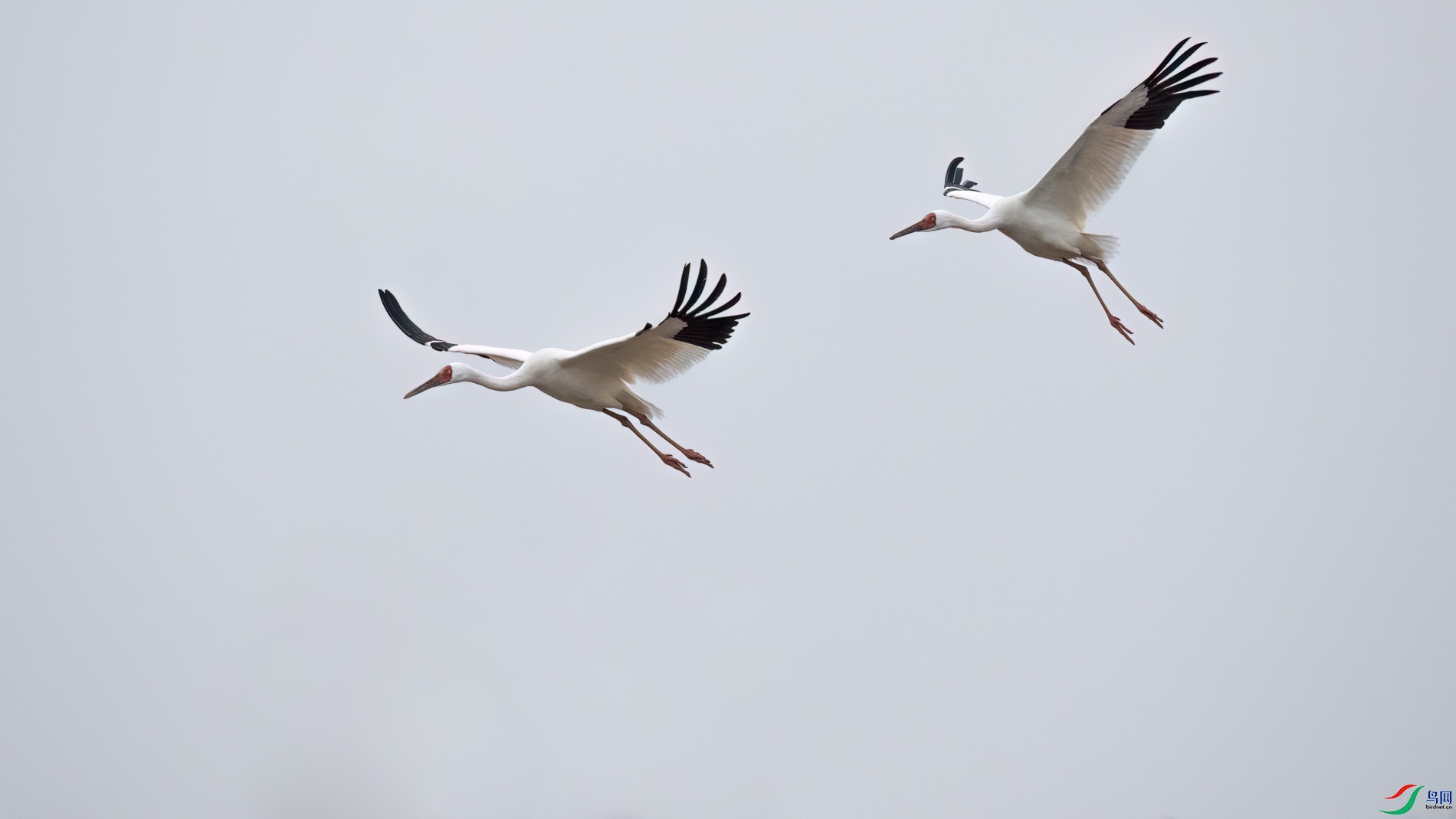 DSC_0894sen2026-2-27-120-�༭.jpg