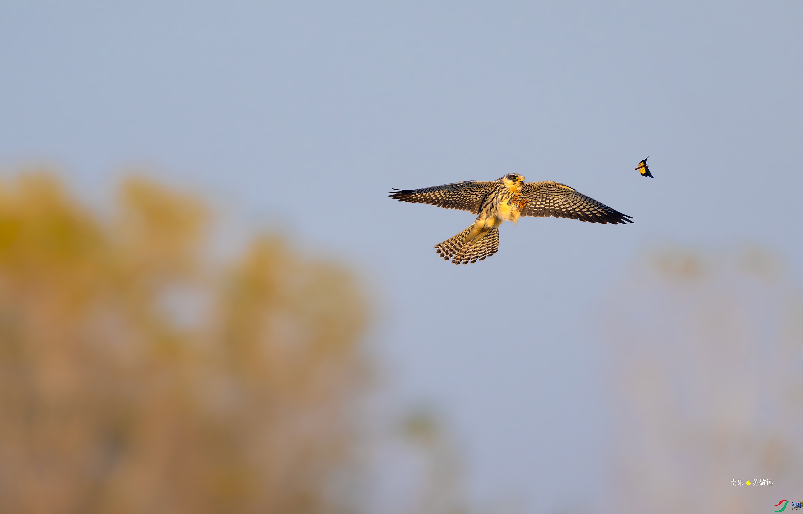 _DSC5431-DxO_С.jpg