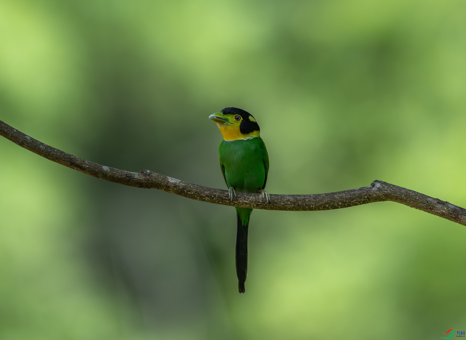 DSC_4773-1.jpg
