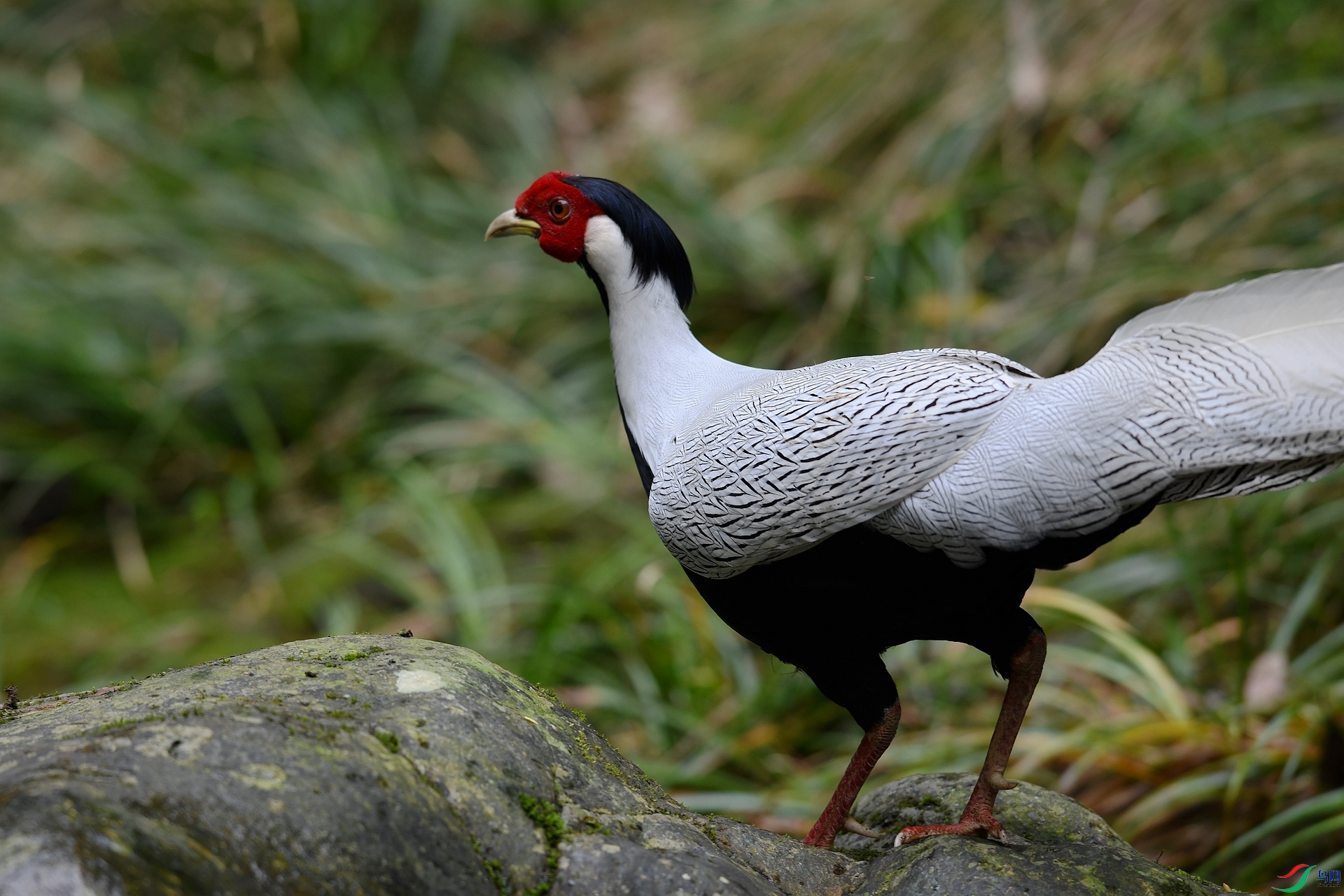 DSC_9345.jpg