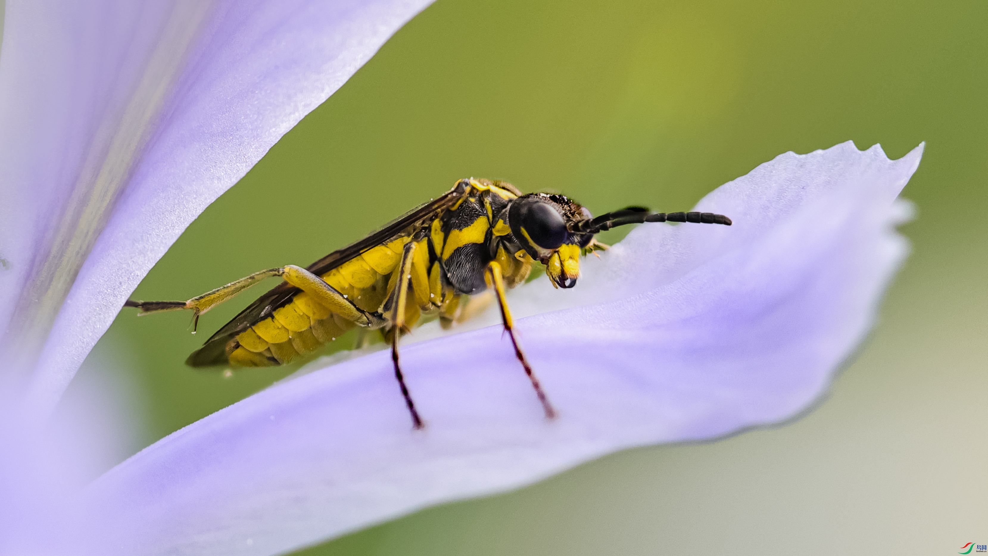 7X5A8926���.jpg