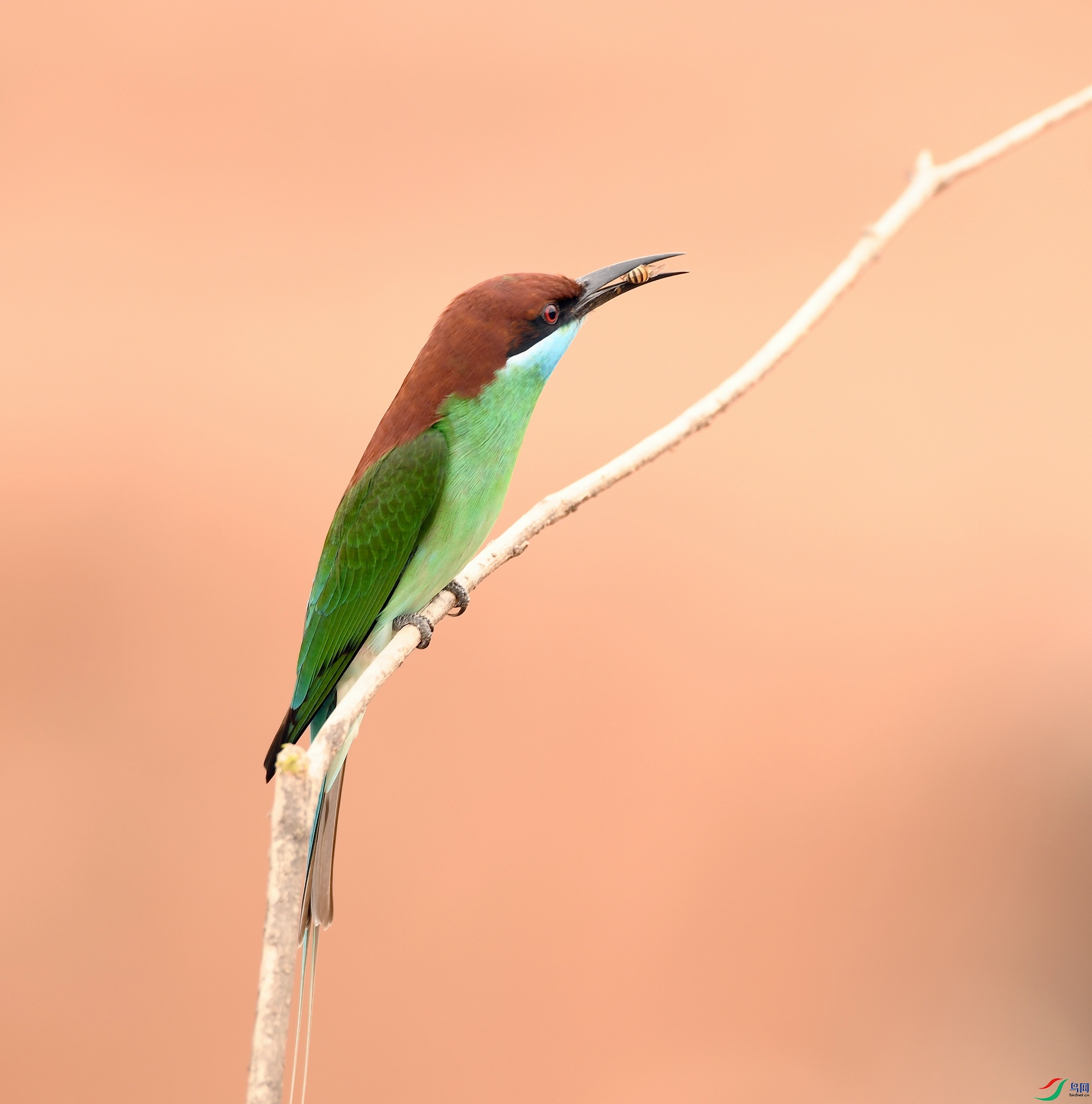 DSC_9864.jpg