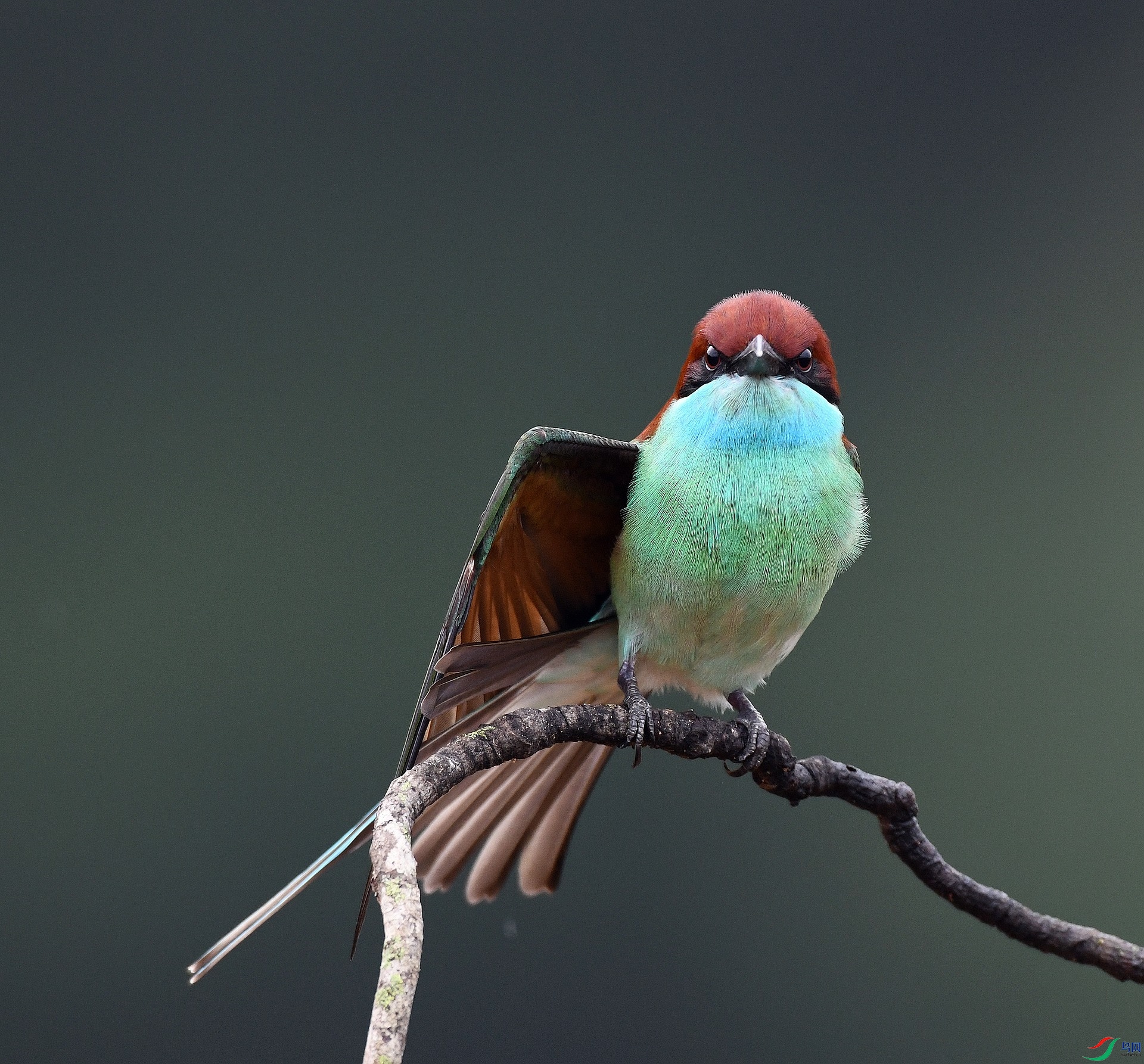 DSC_5124.jpg