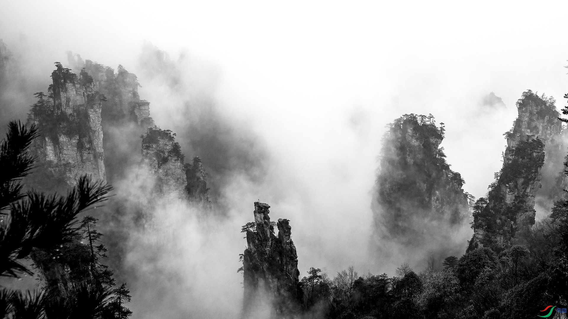 3S9A7206.-55jpg.jpg