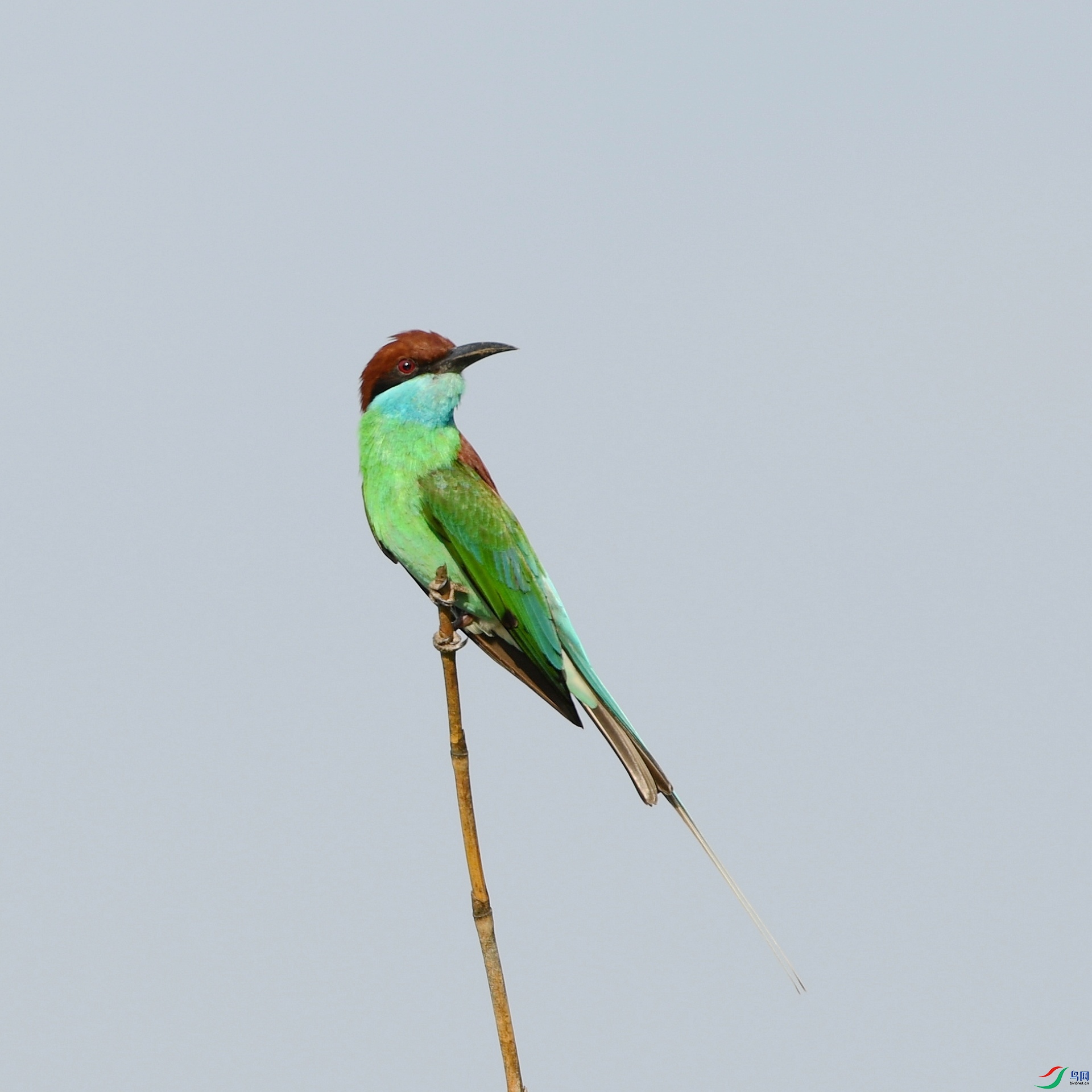 DSC_3179.jpg