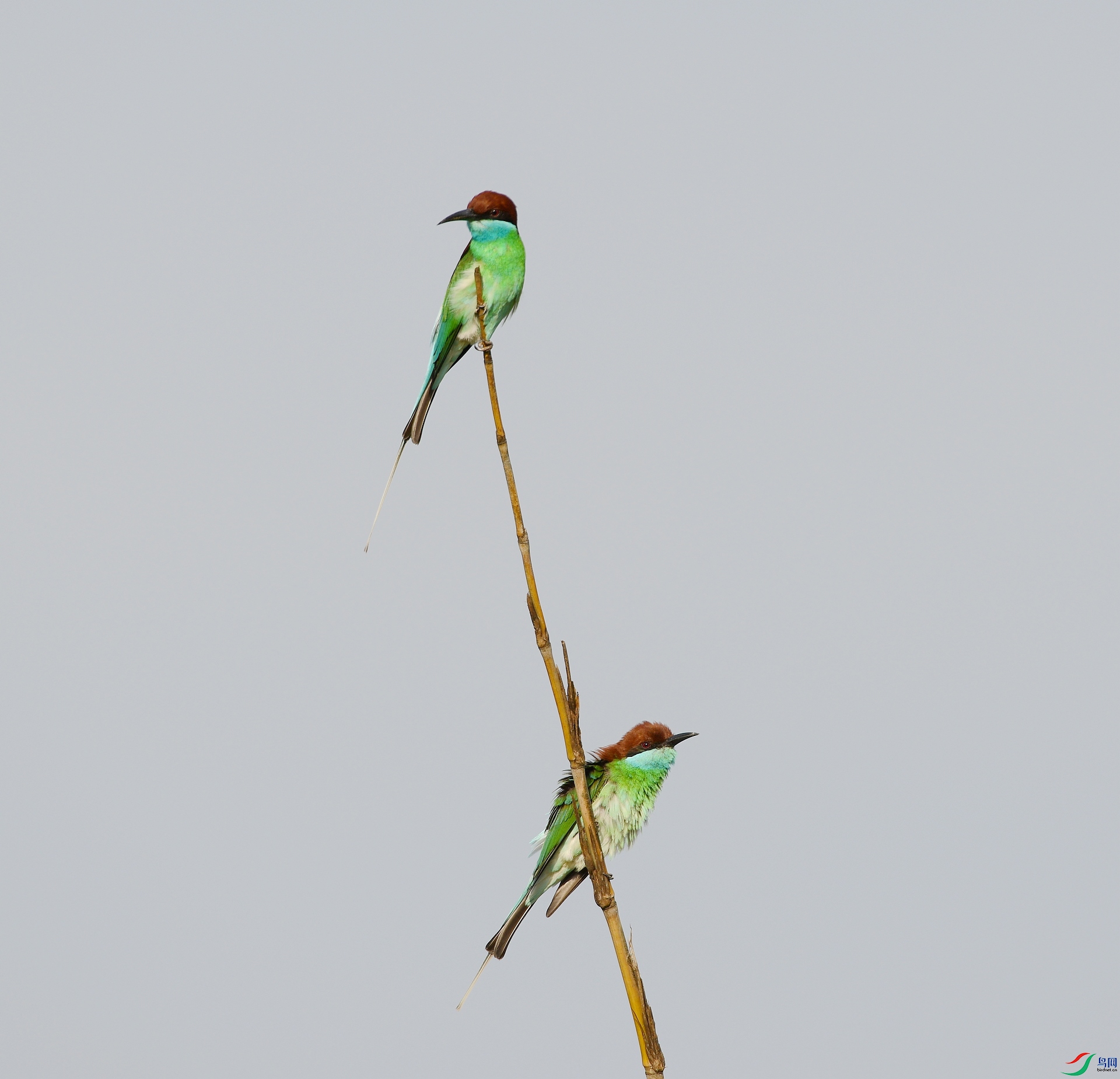 DSC_3122.jpg