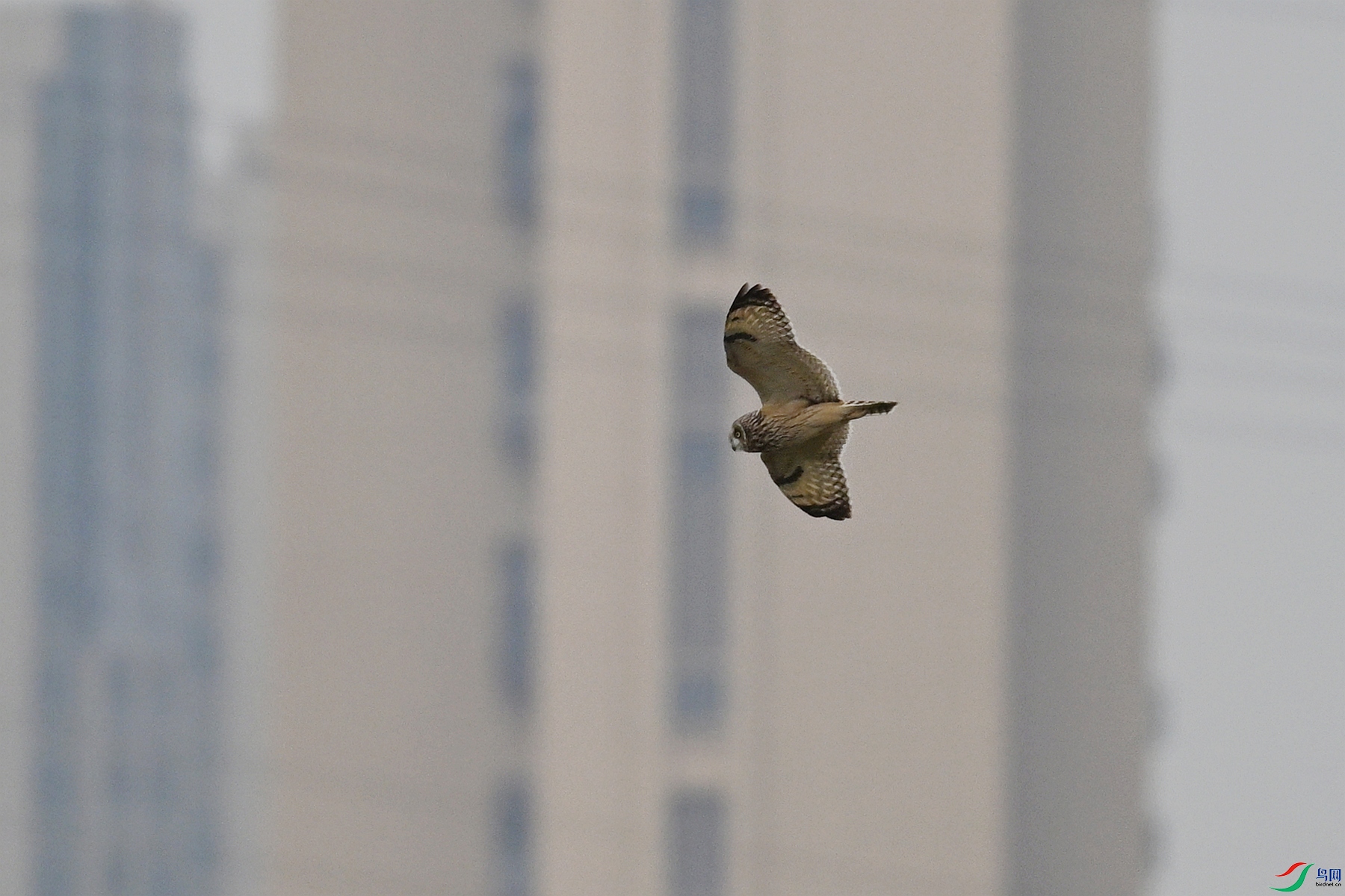 DSC_9047.JPG