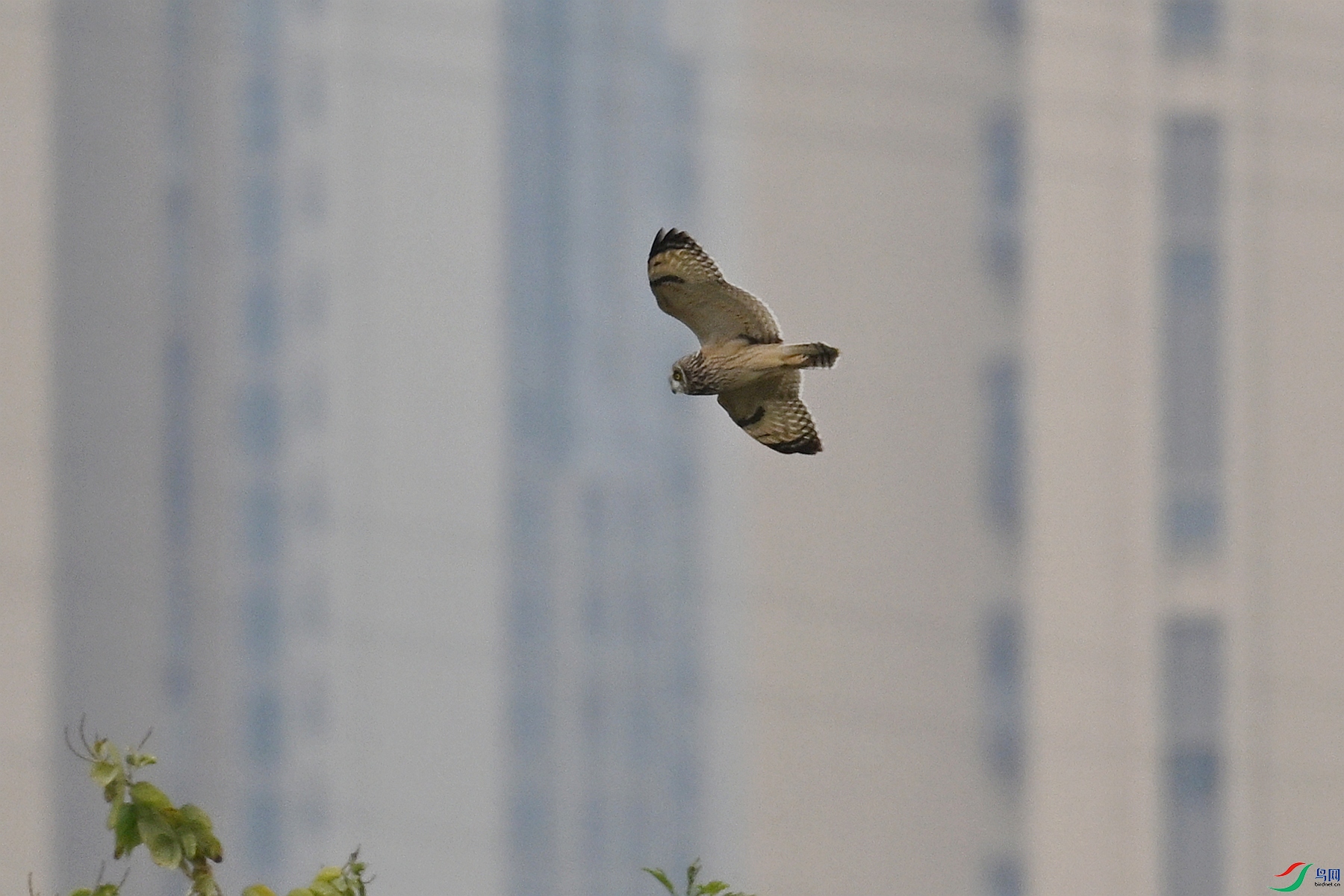DSC_9049.JPG