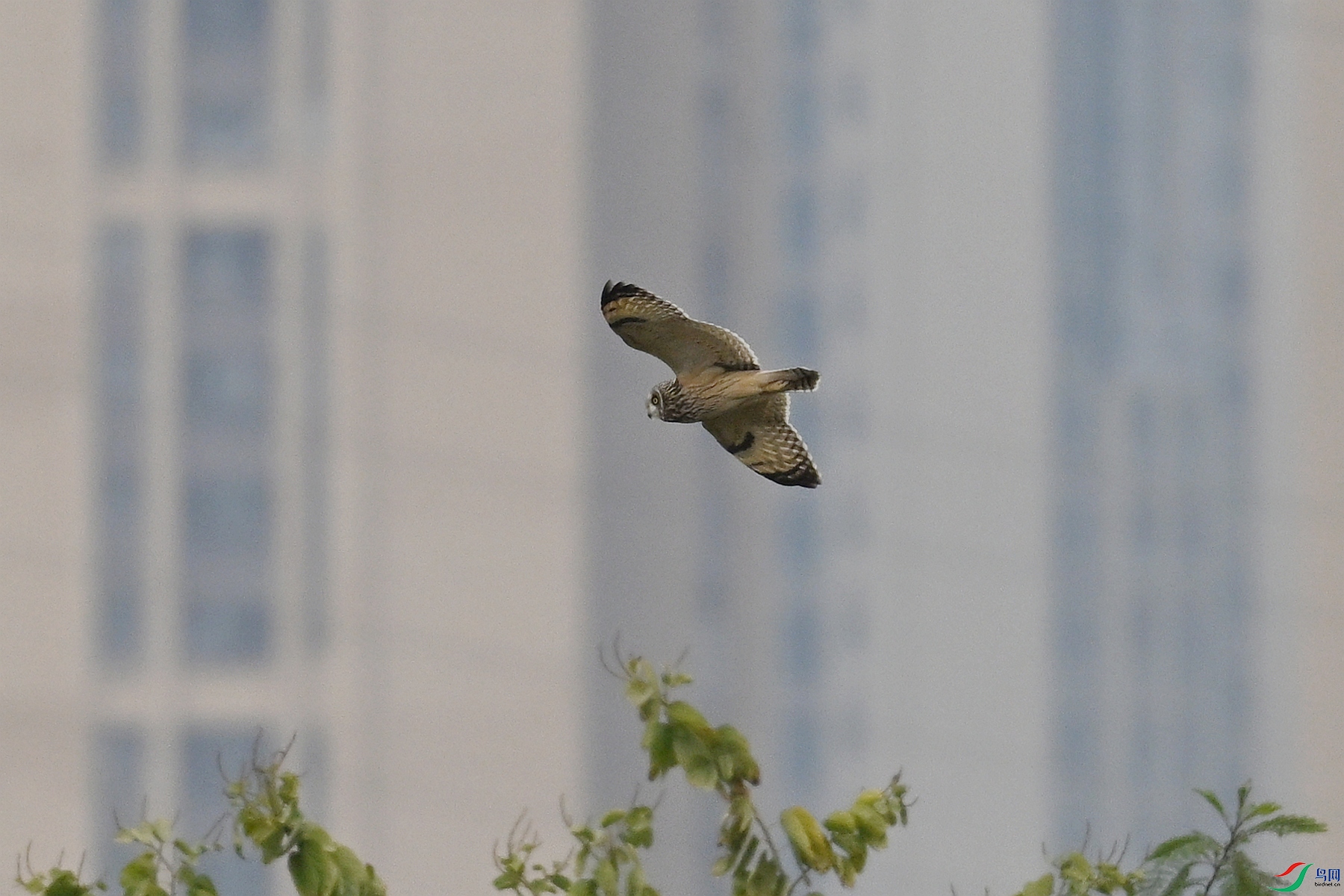 DSC_9051.JPG