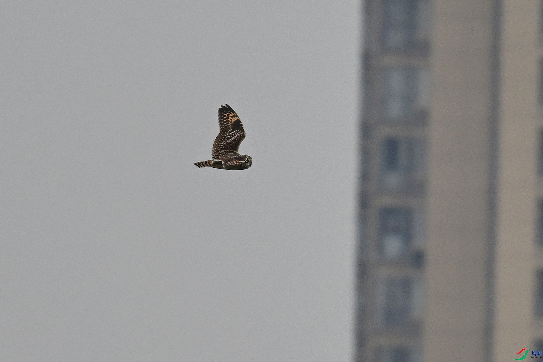 DSC_9058.JPG