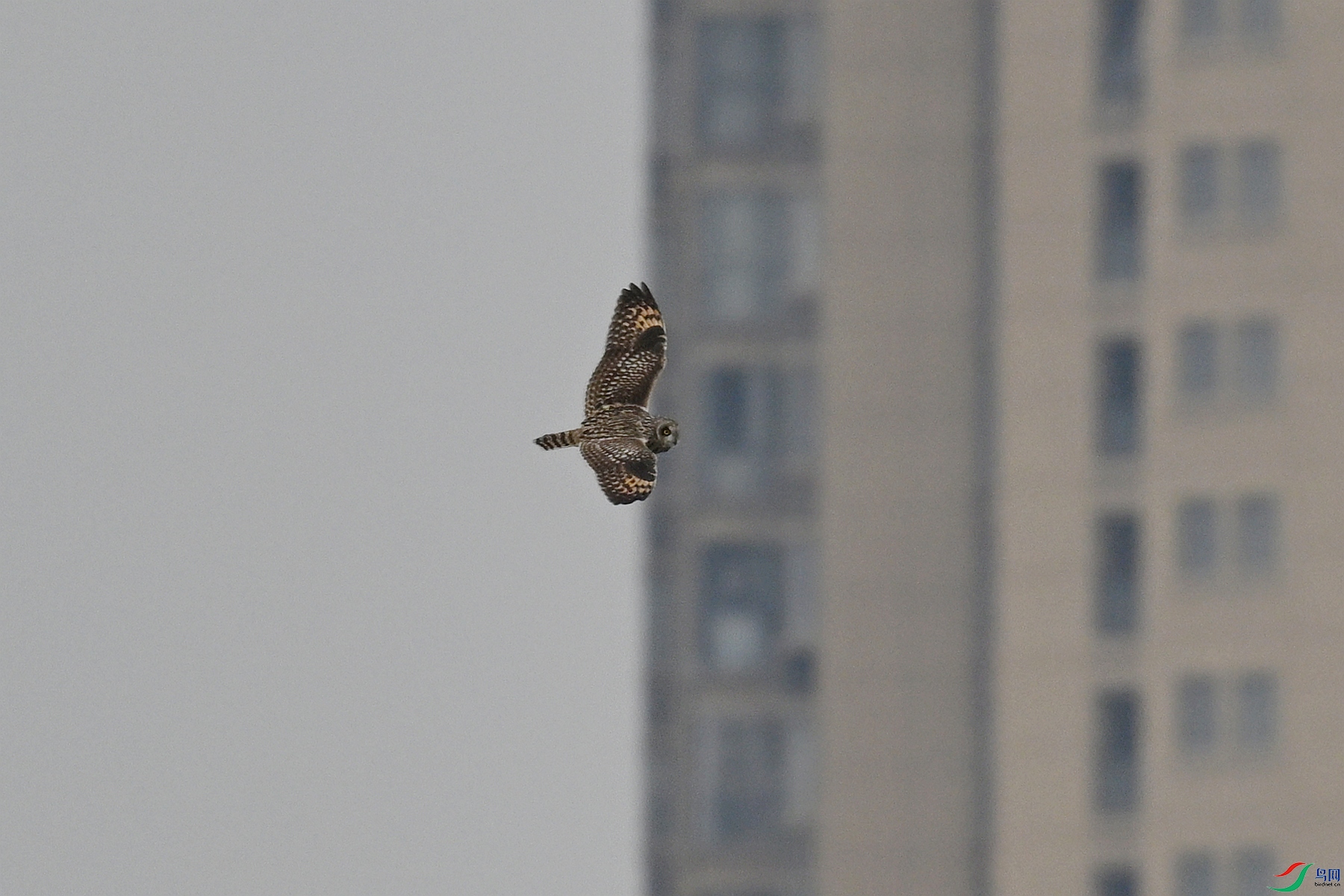 DSC_9060.JPG