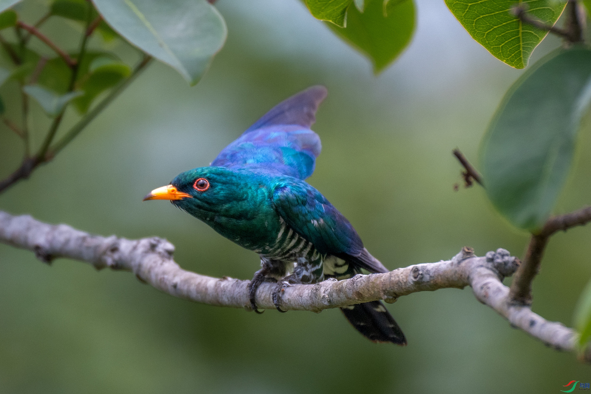 DSC_2750-1-1.jpg