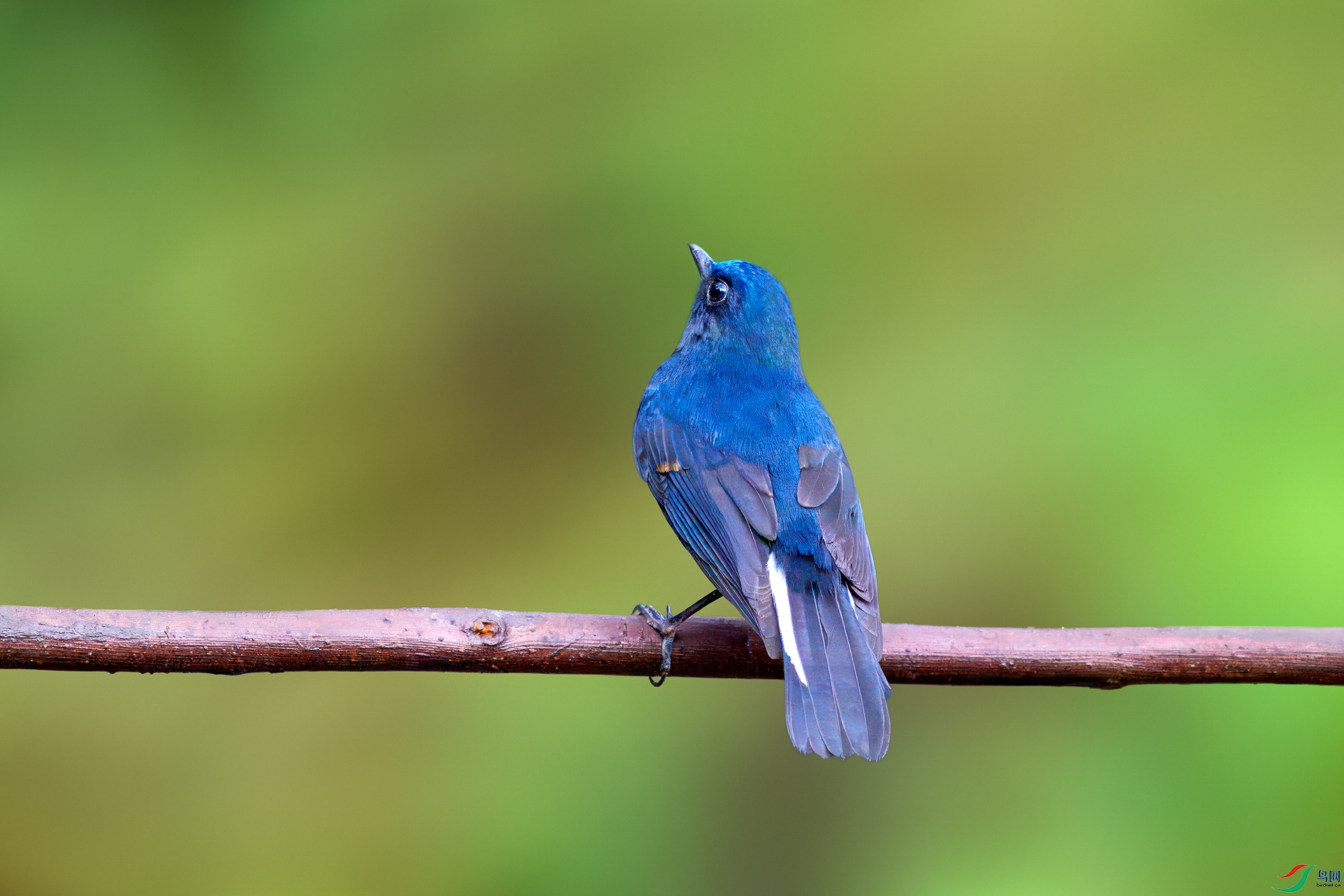 0_DSC4971-topaz-rawdenoise.jpg