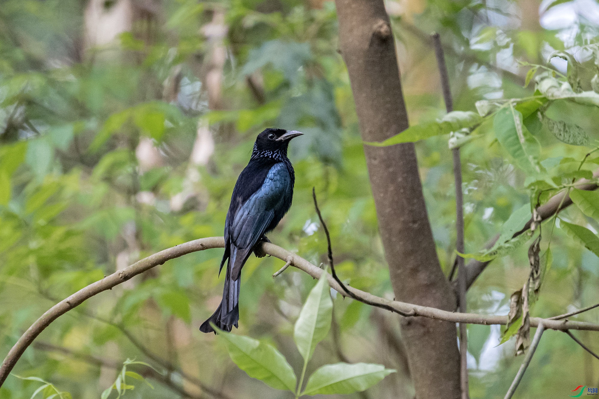 DSC_9615.jpg