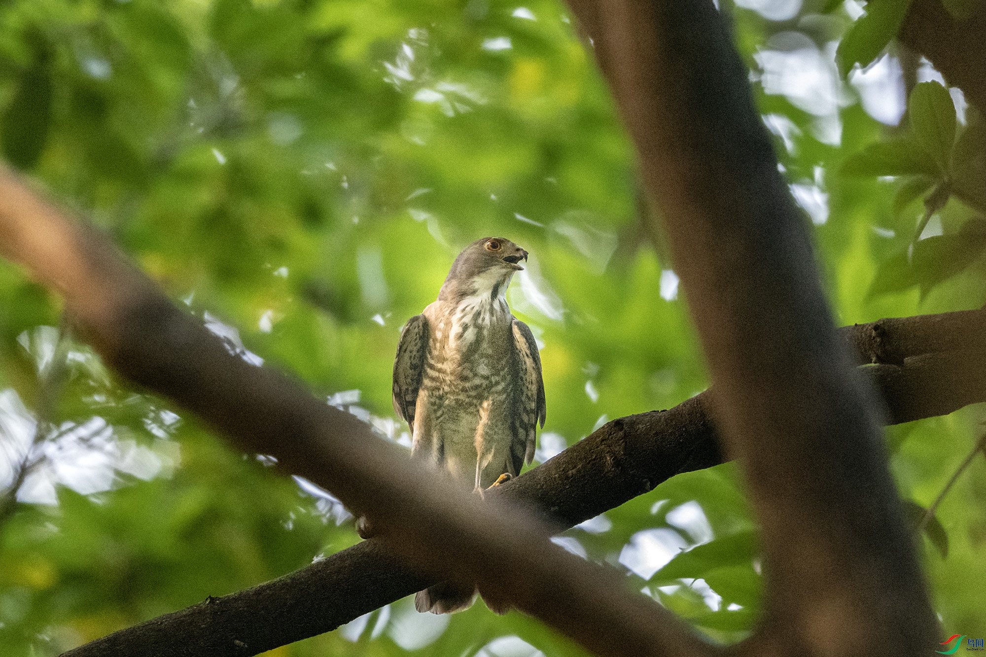 DSC_9026.jpg