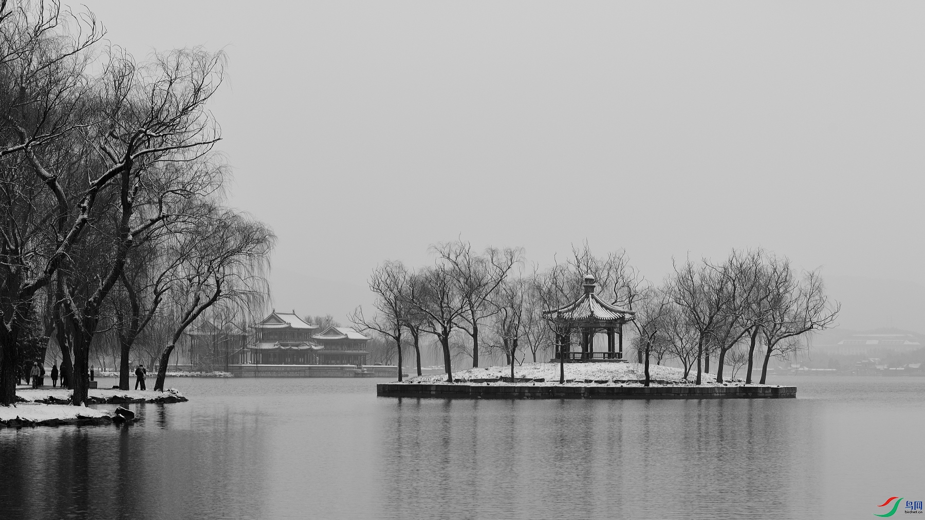 DSC_8459.JPG